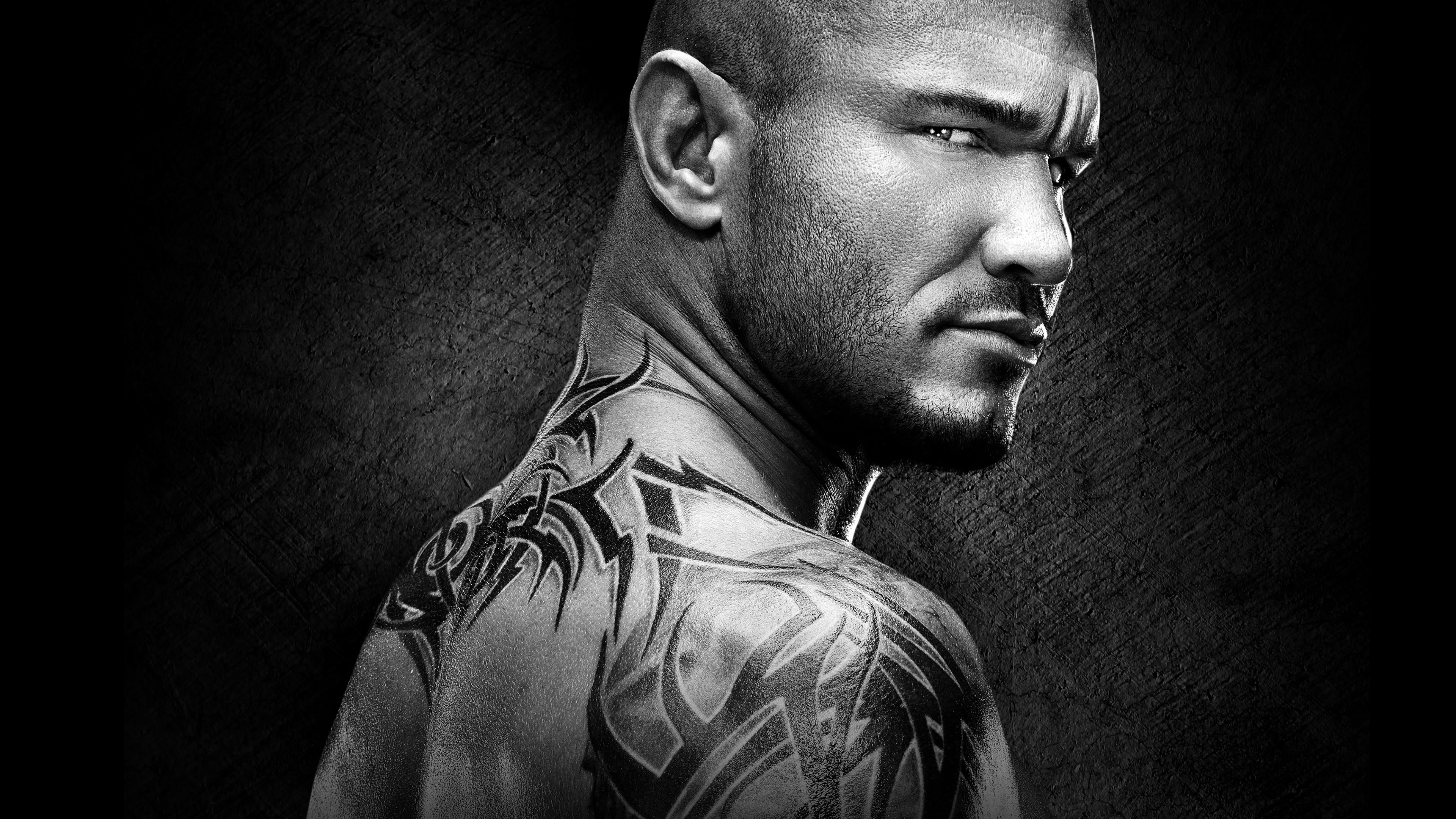 Backdrop for WWE Payback 2015