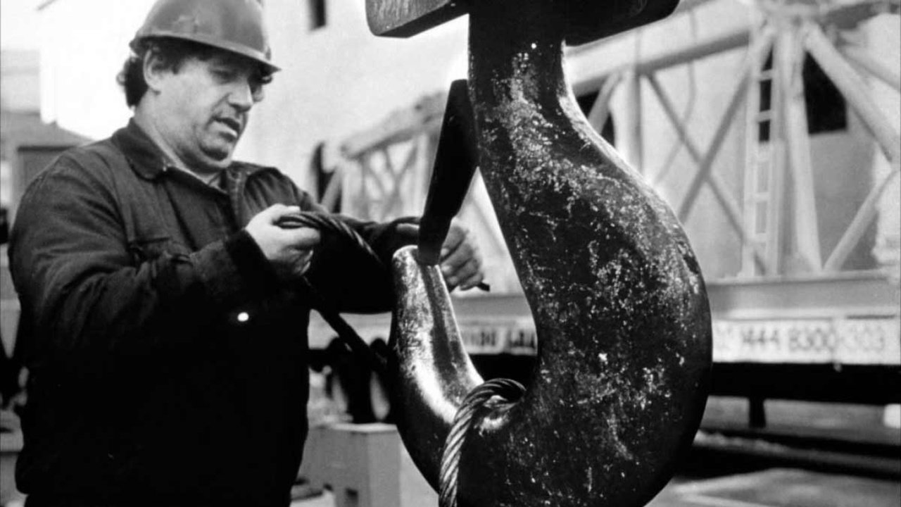 Backdrop for Crane World