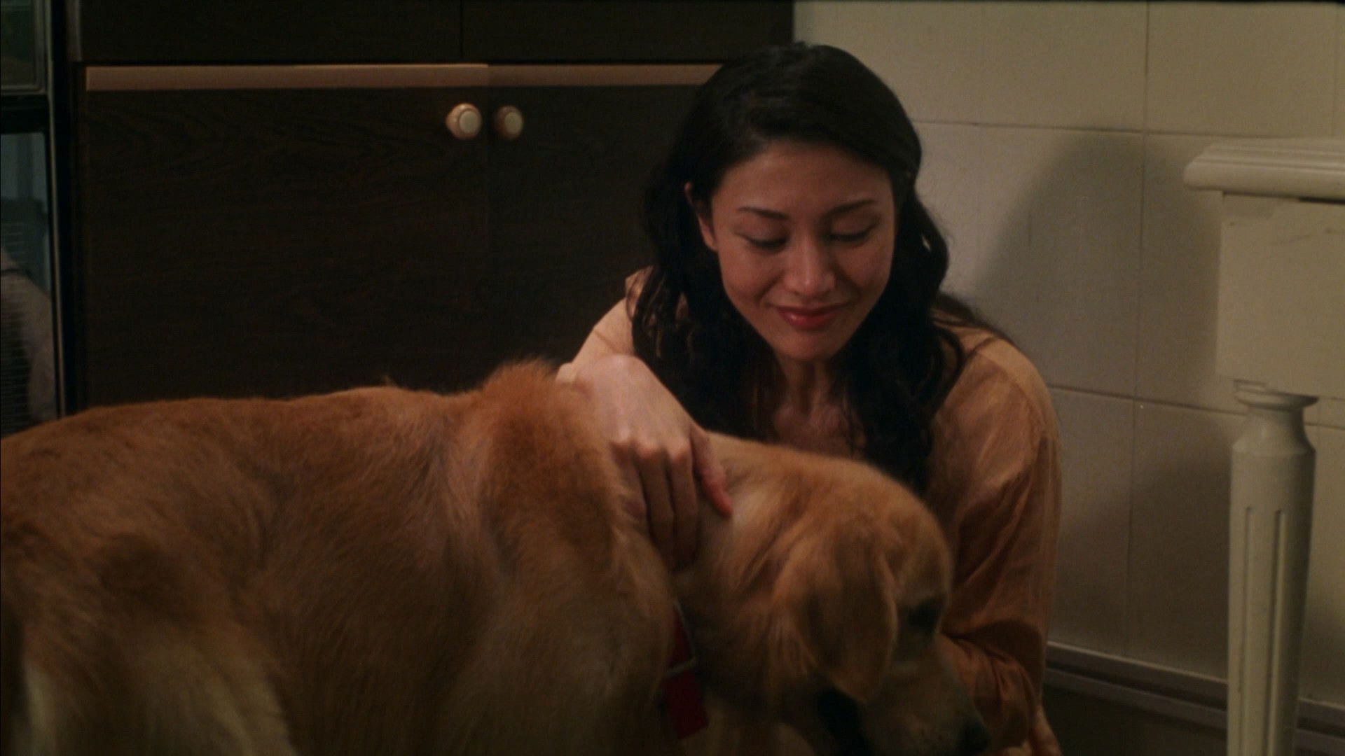 Backdrop for Every Dog Has His Date