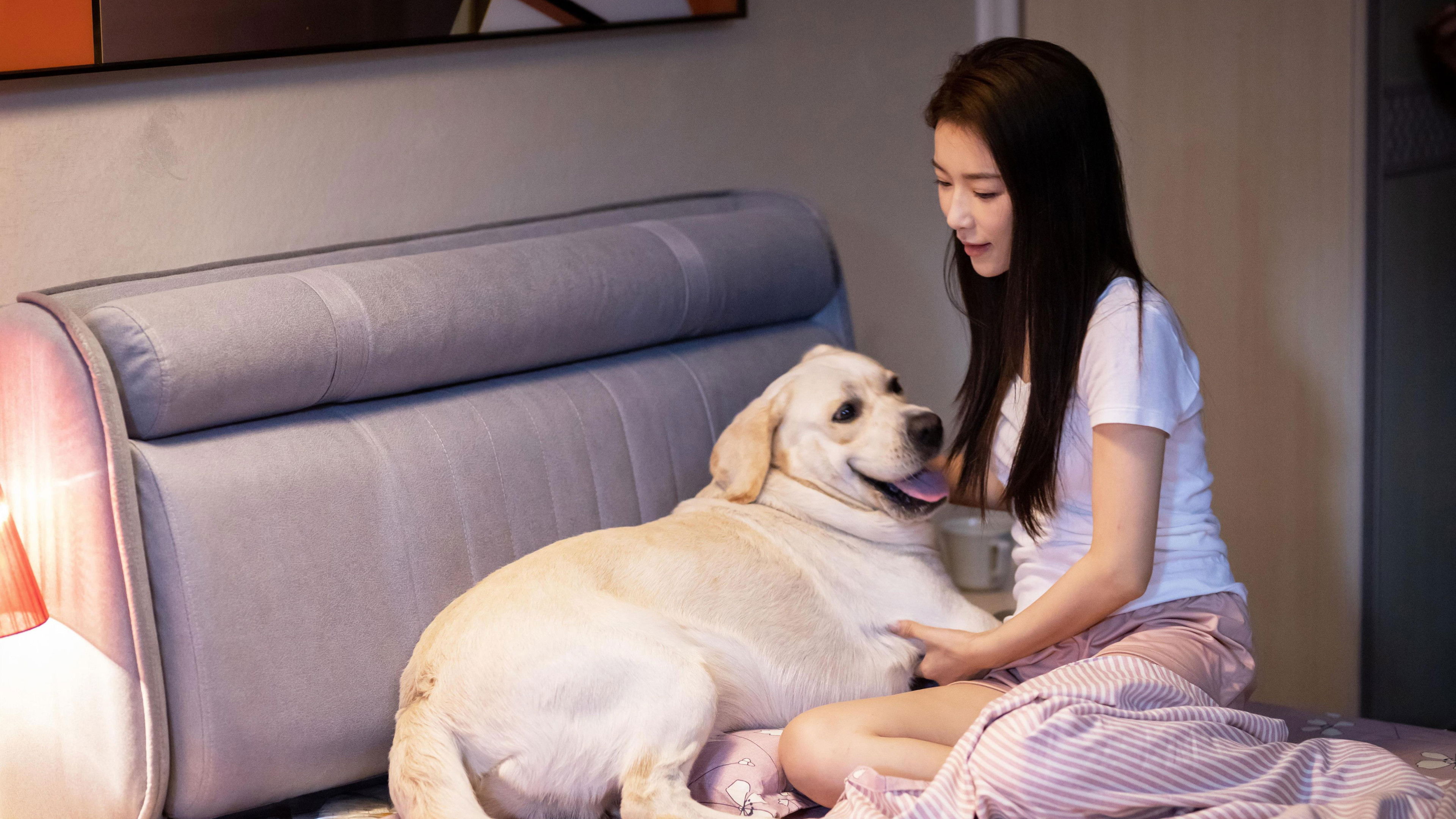 Backdrop for 灵犬奇缘