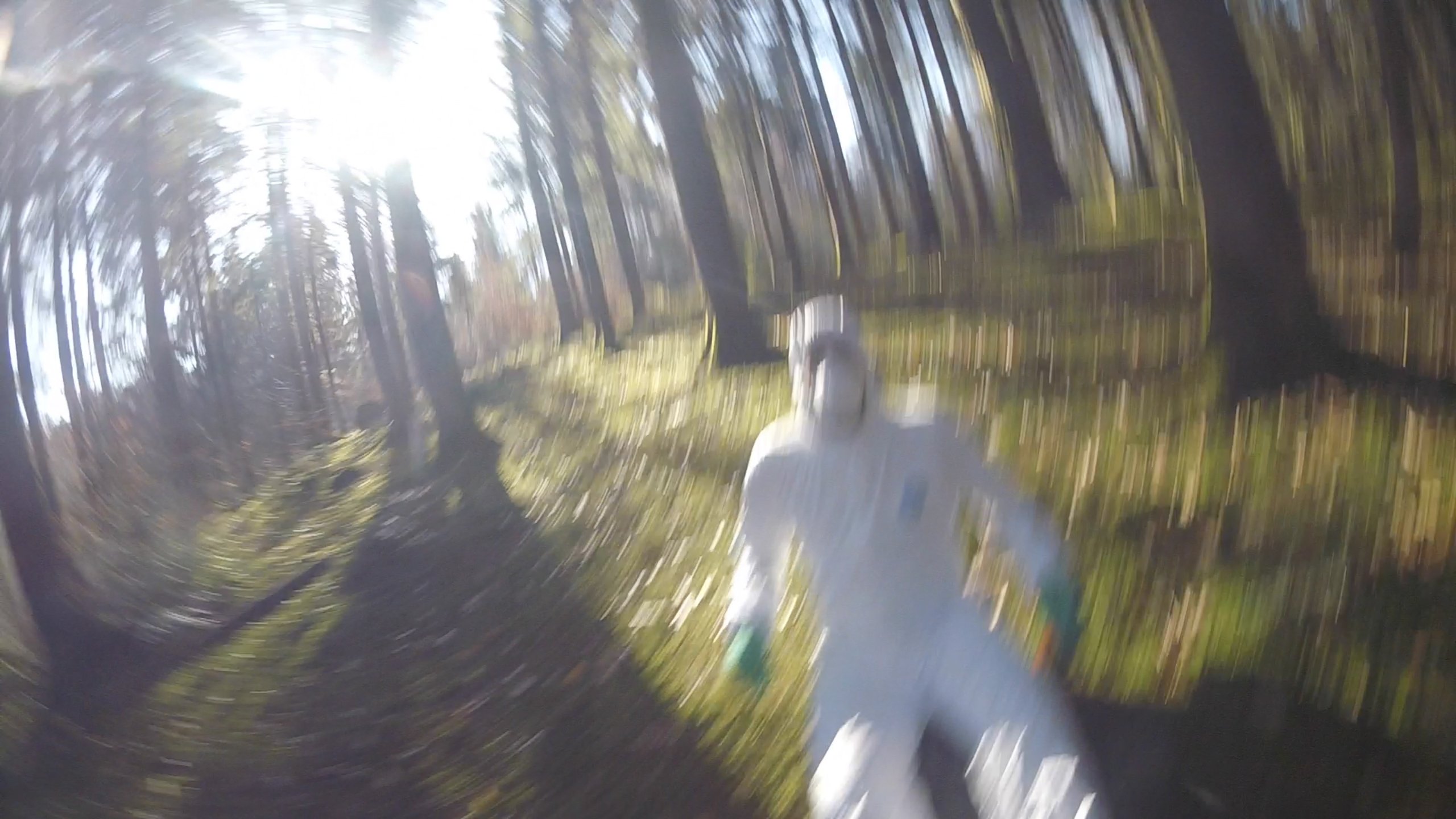 Backdrop for Mittel Würffel