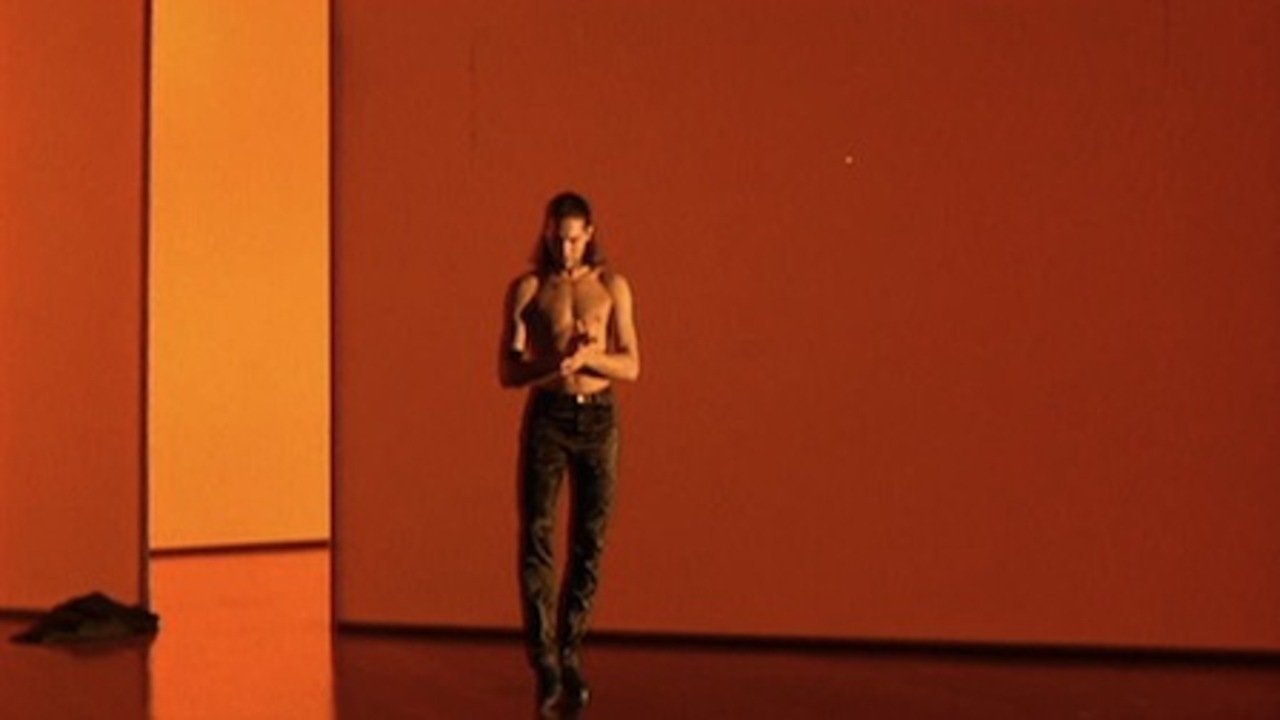 Backdrop for Flamenco