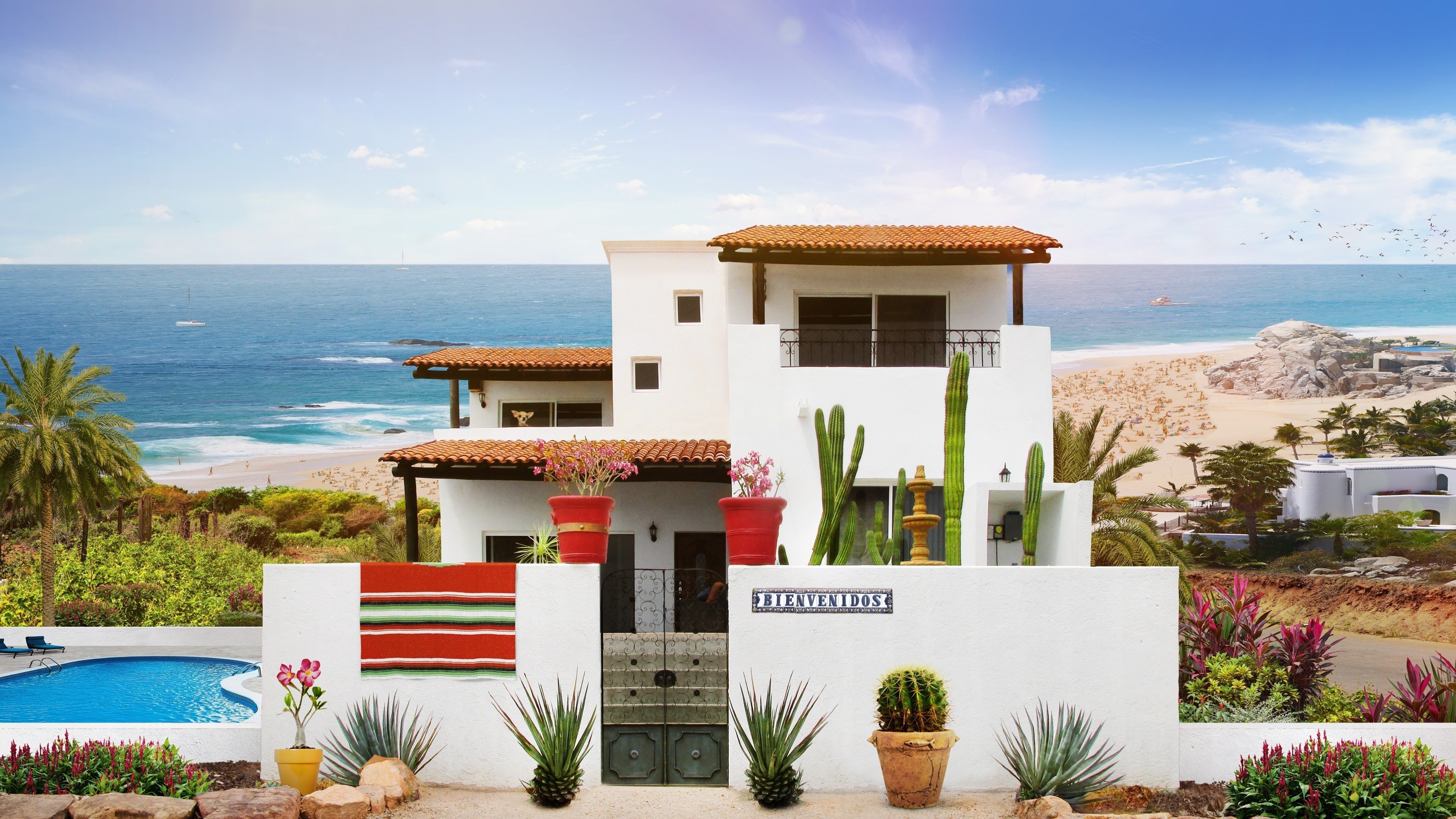 Backdrop for Mexico Life