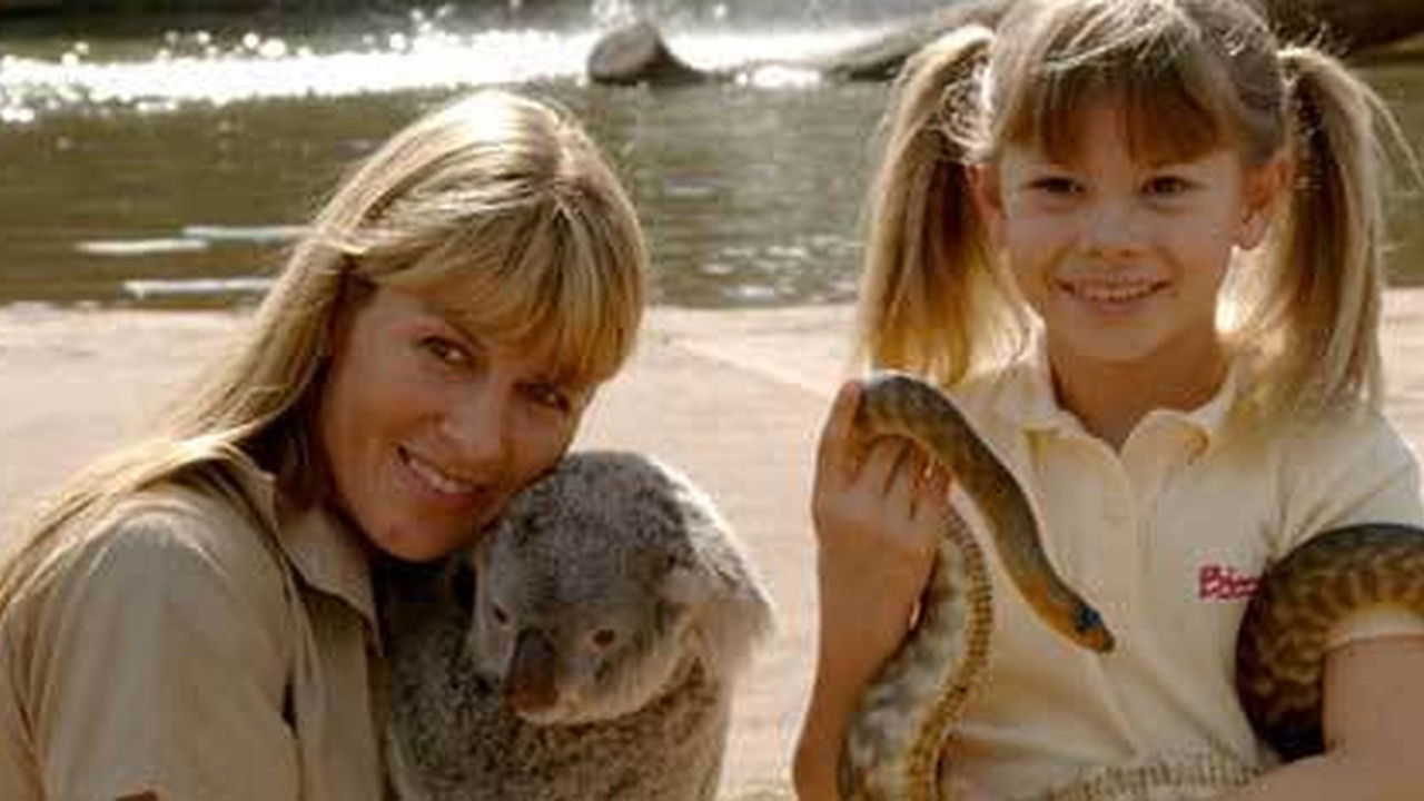 Backdrop for Bindi, the Jungle Girl