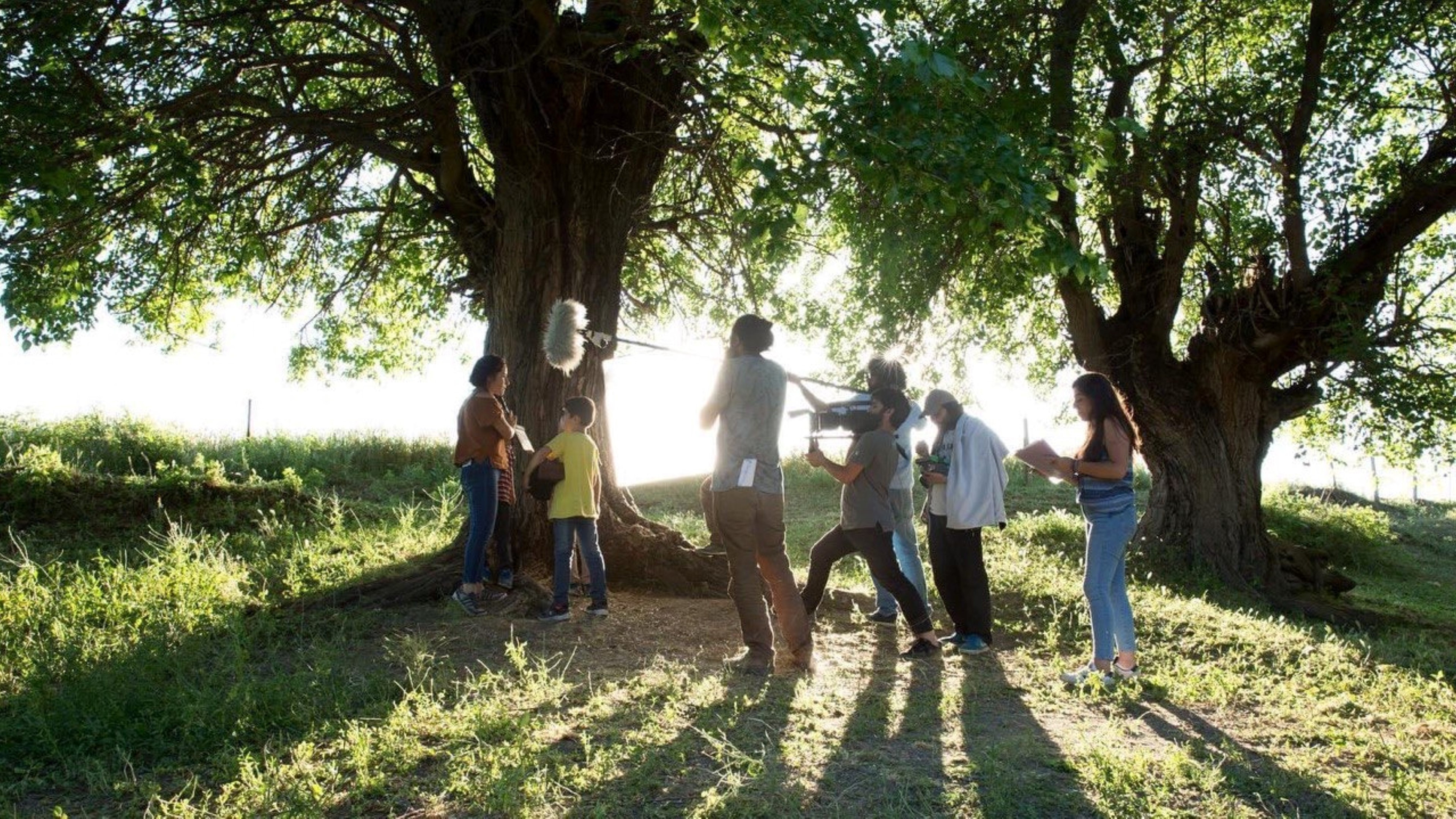 Backdrop for Gola Cinan