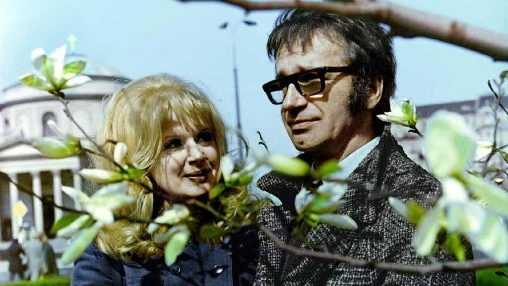 Backdrop for A Jungle Book of Regulations