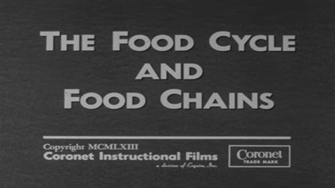 Backdrop for The Food Cycle and Food Chains