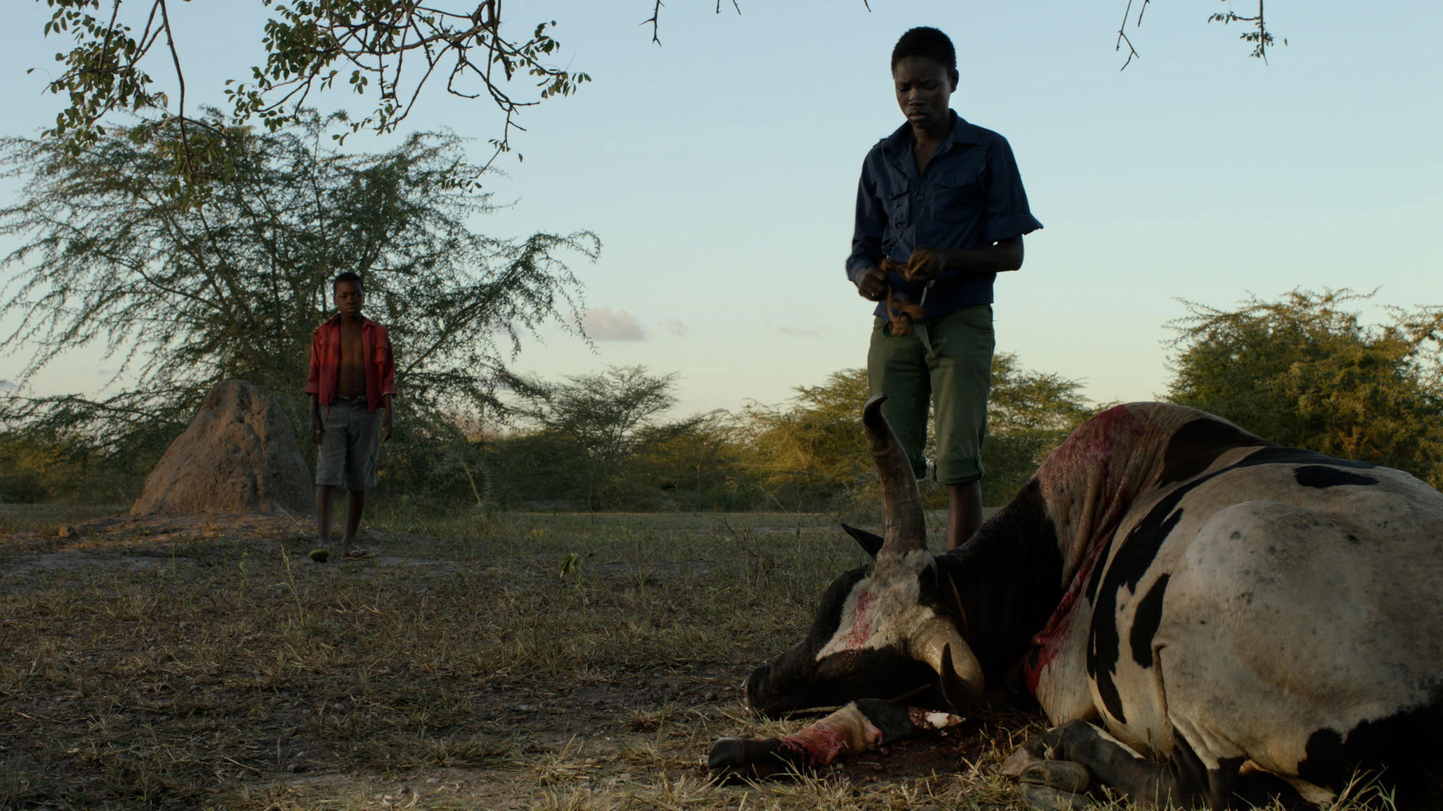 Backdrop for Mabata Bata