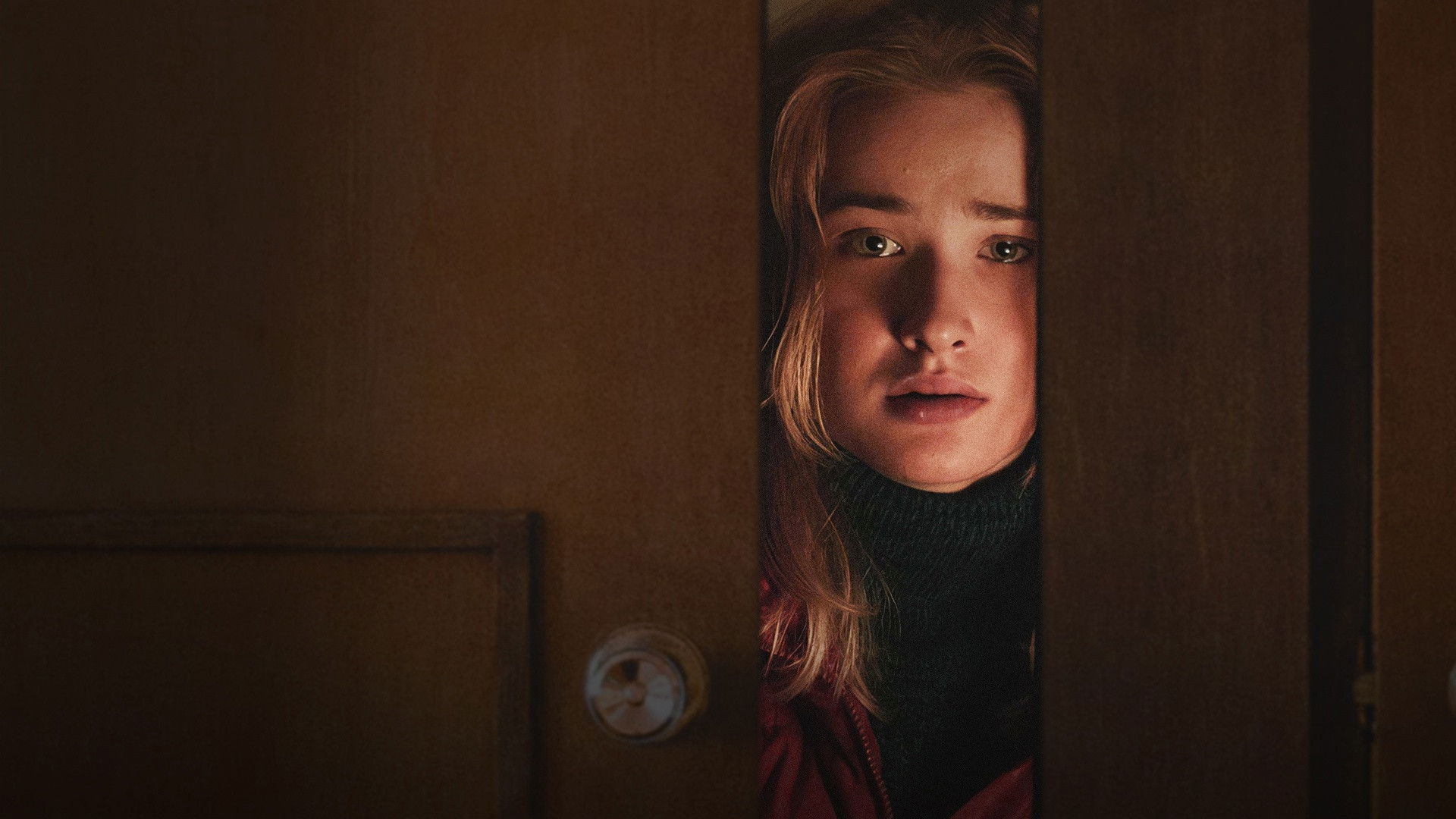 Backdrop for The Sunflower