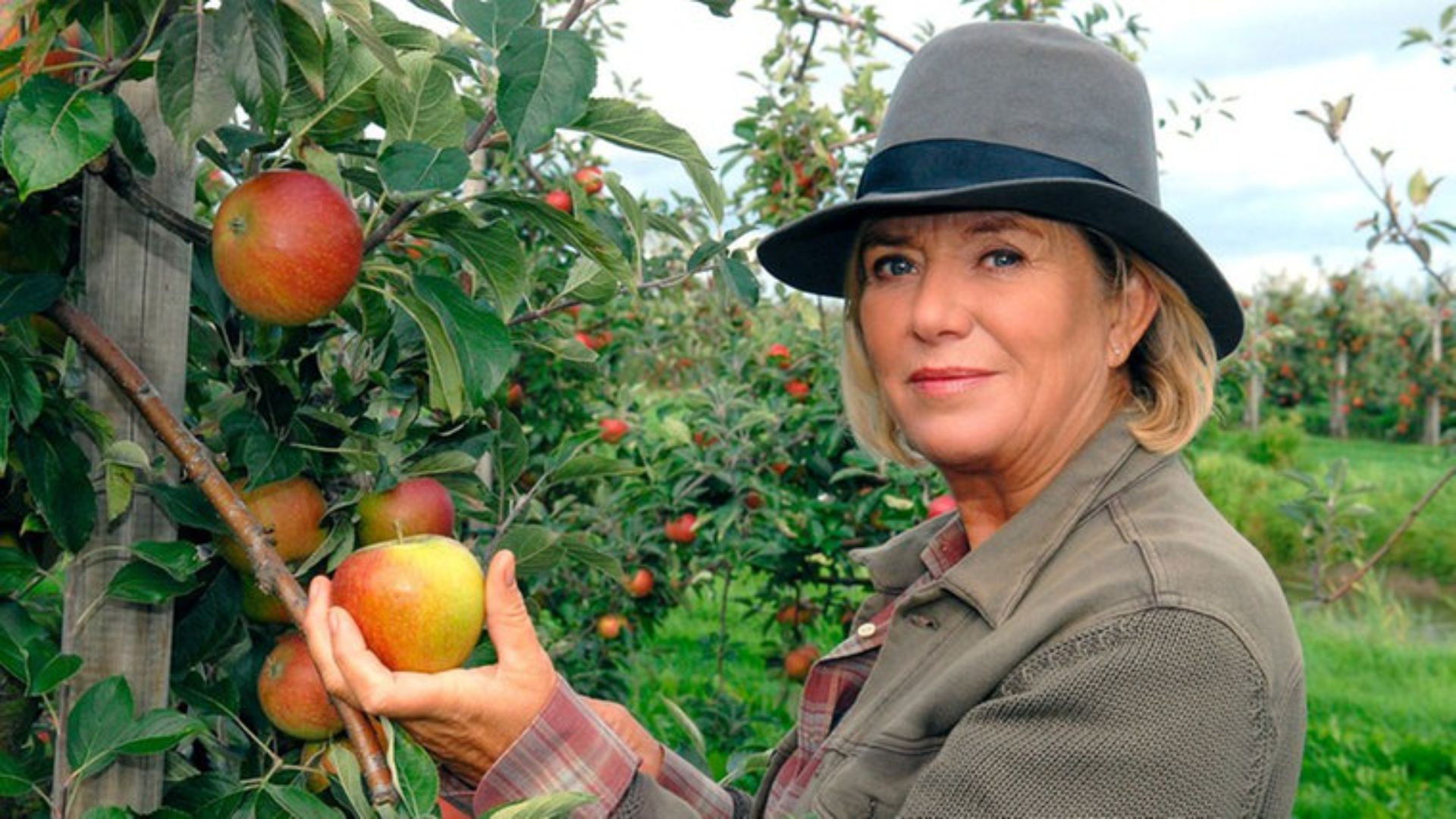 Backdrop for Annas Erbe