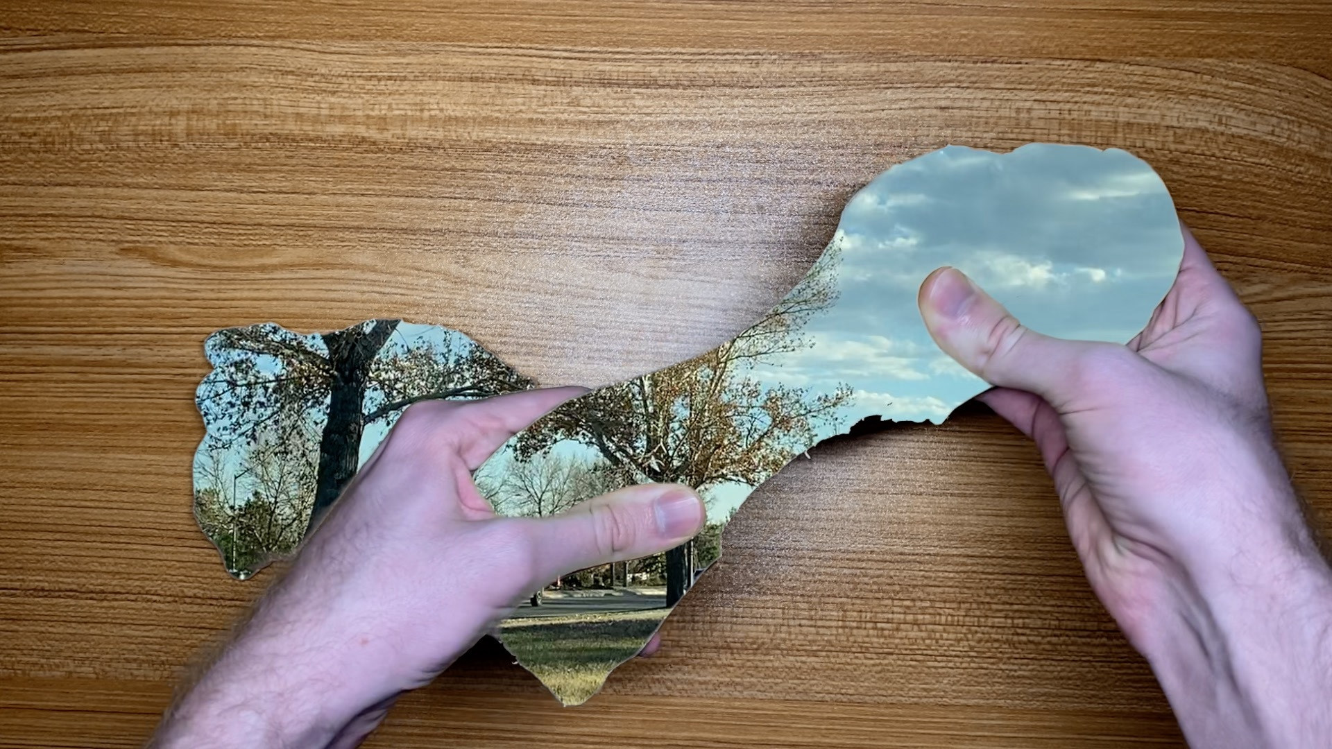 Backdrop for The World in Our Hands