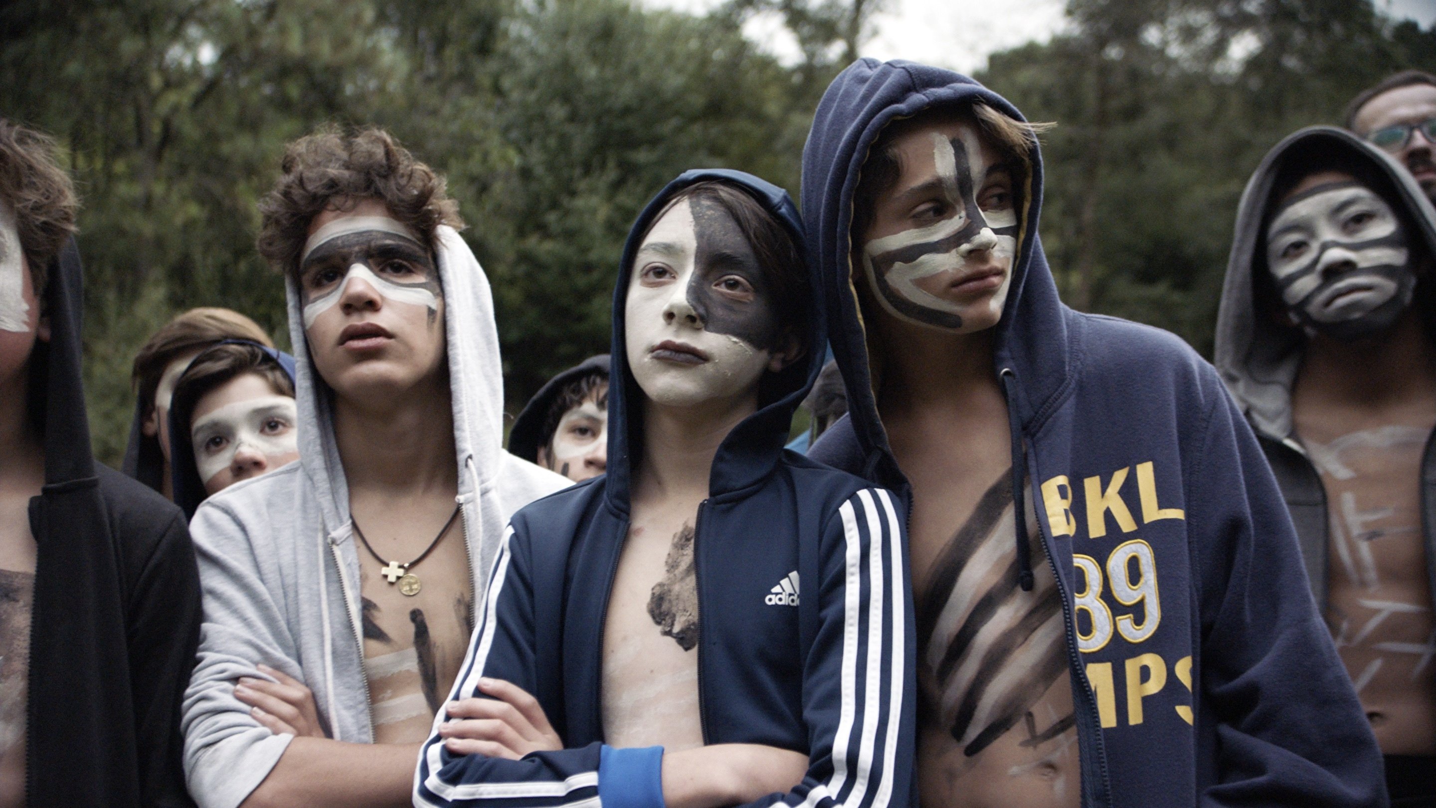 Backdrop for The Hole in the Fence