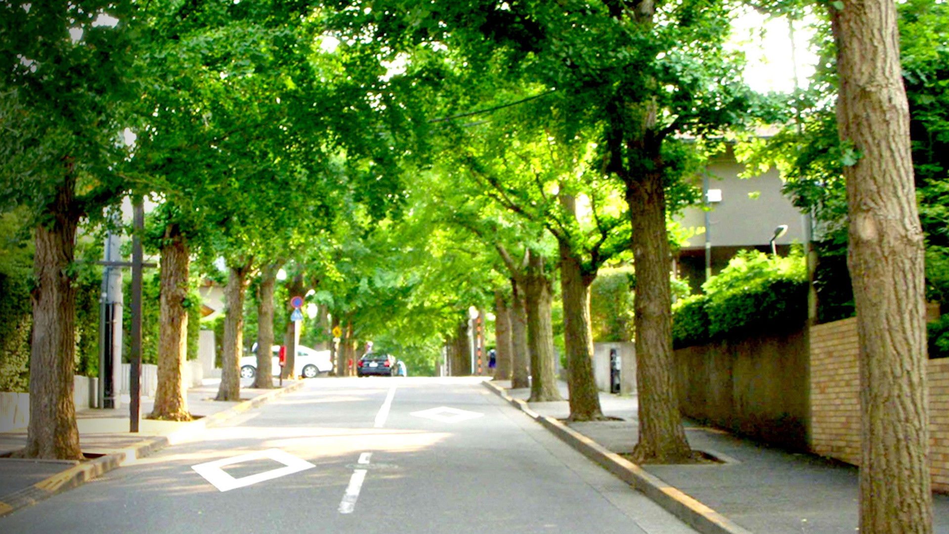 Backdrop for Zeroing In: Carbon Neutral 2050