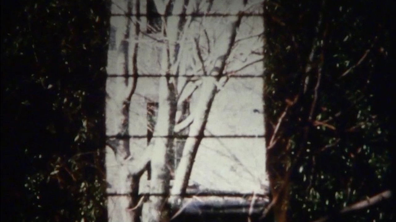 Backdrop for Ming Green