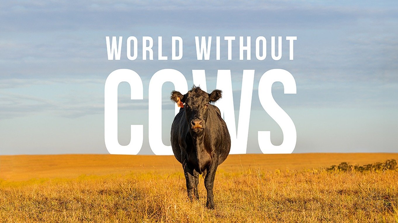Backdrop for World Without Cows