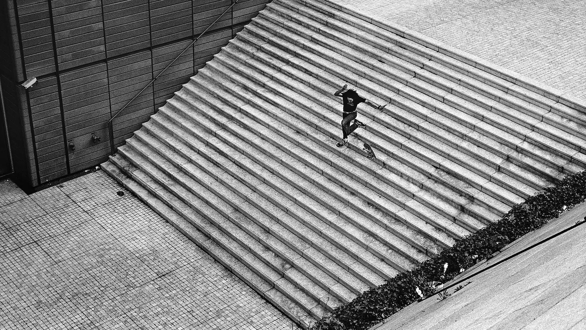 Backdrop for The Scars of Ali Boulala