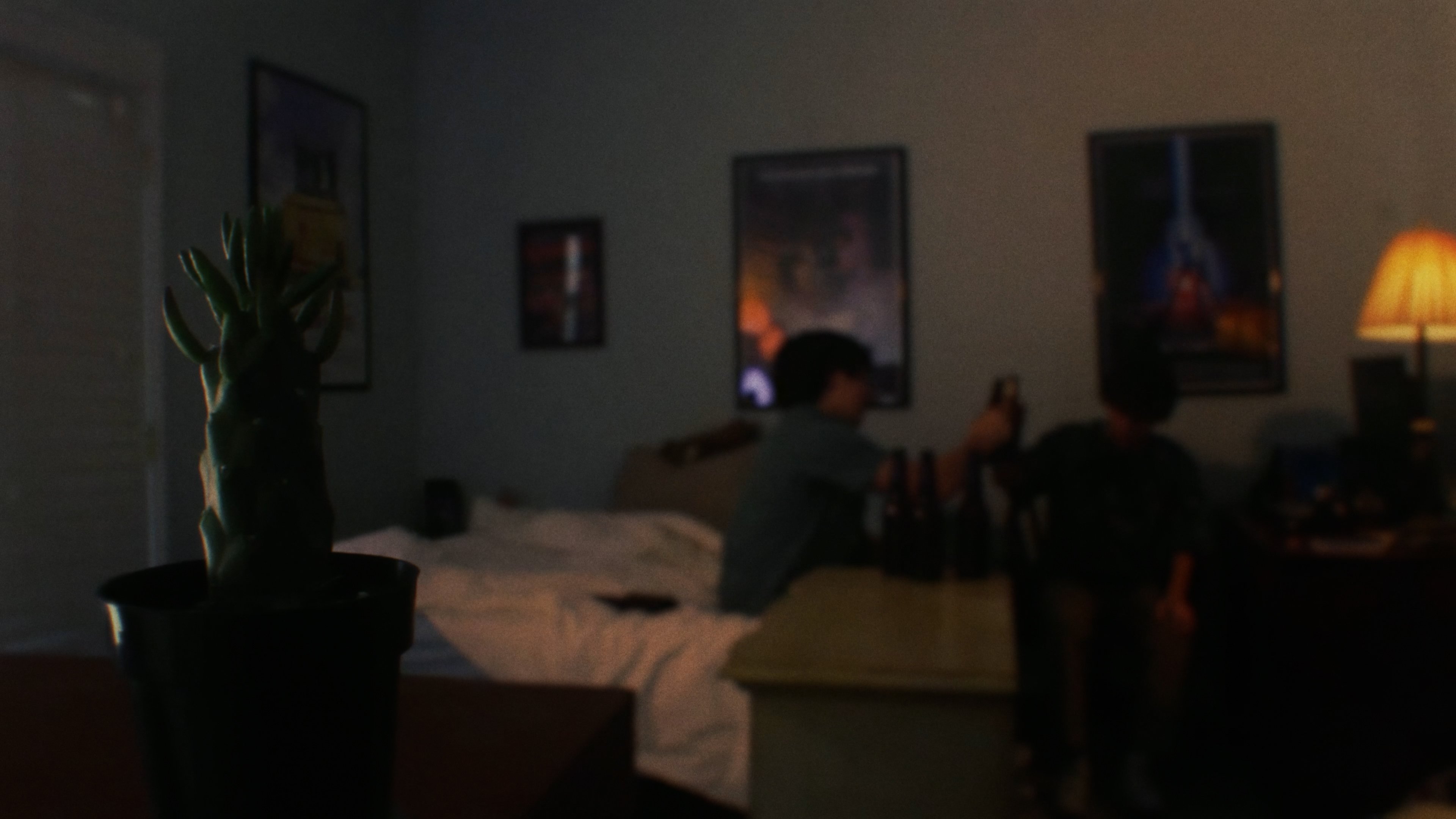 Backdrop for The Cactus