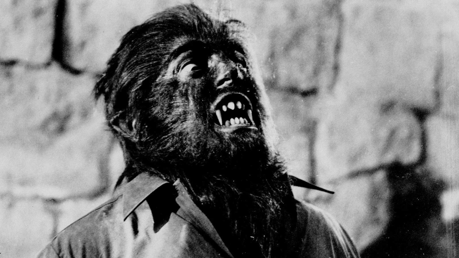 Backdrop for Paul Naschy: la sonrisa del lobo