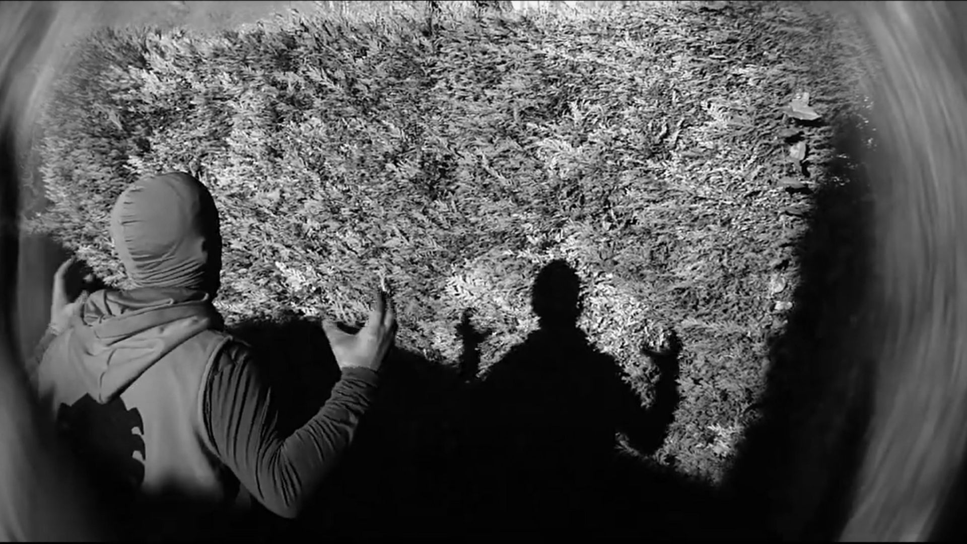 Backdrop for Citizen Ass: The Last Temptation of Web Ass