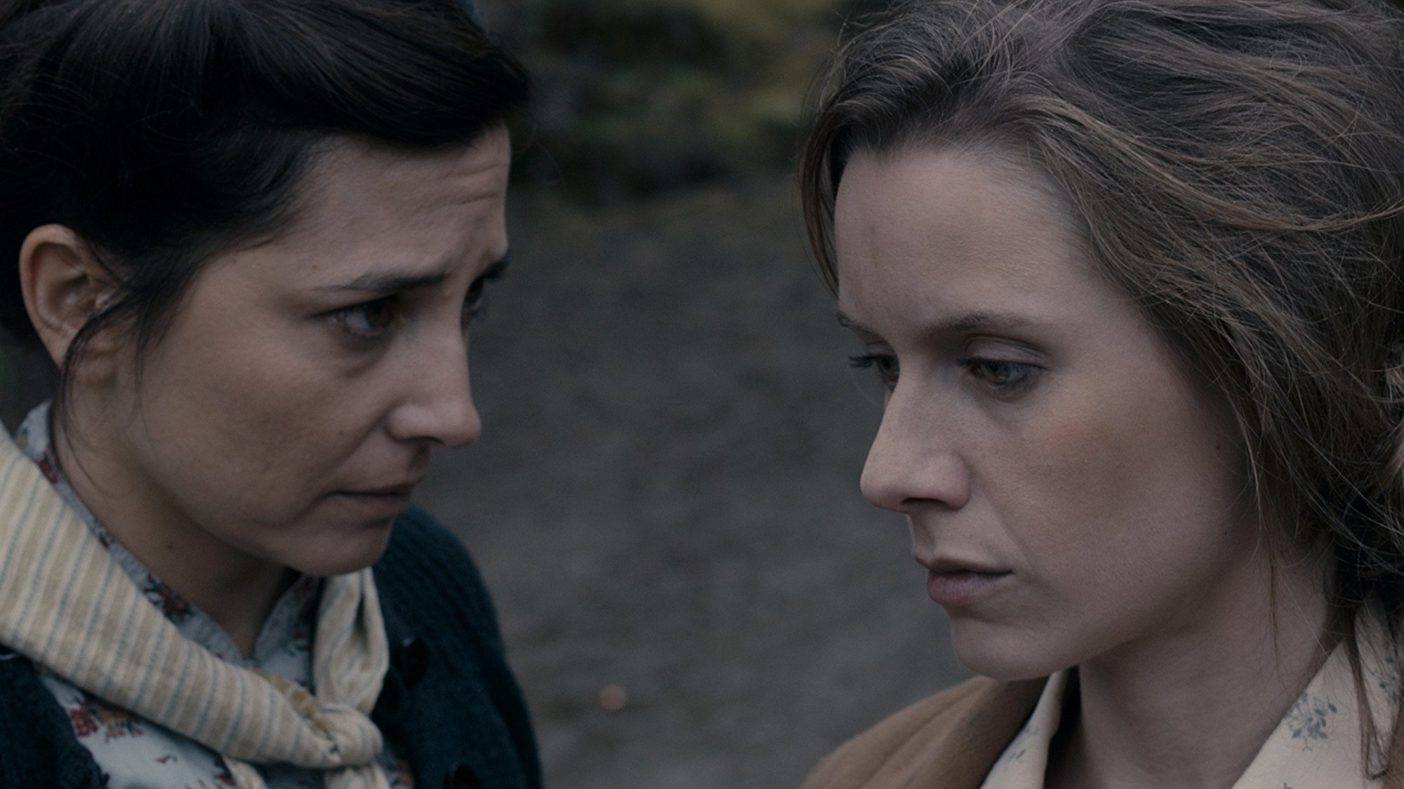 Backdrop for Dirty Wolves