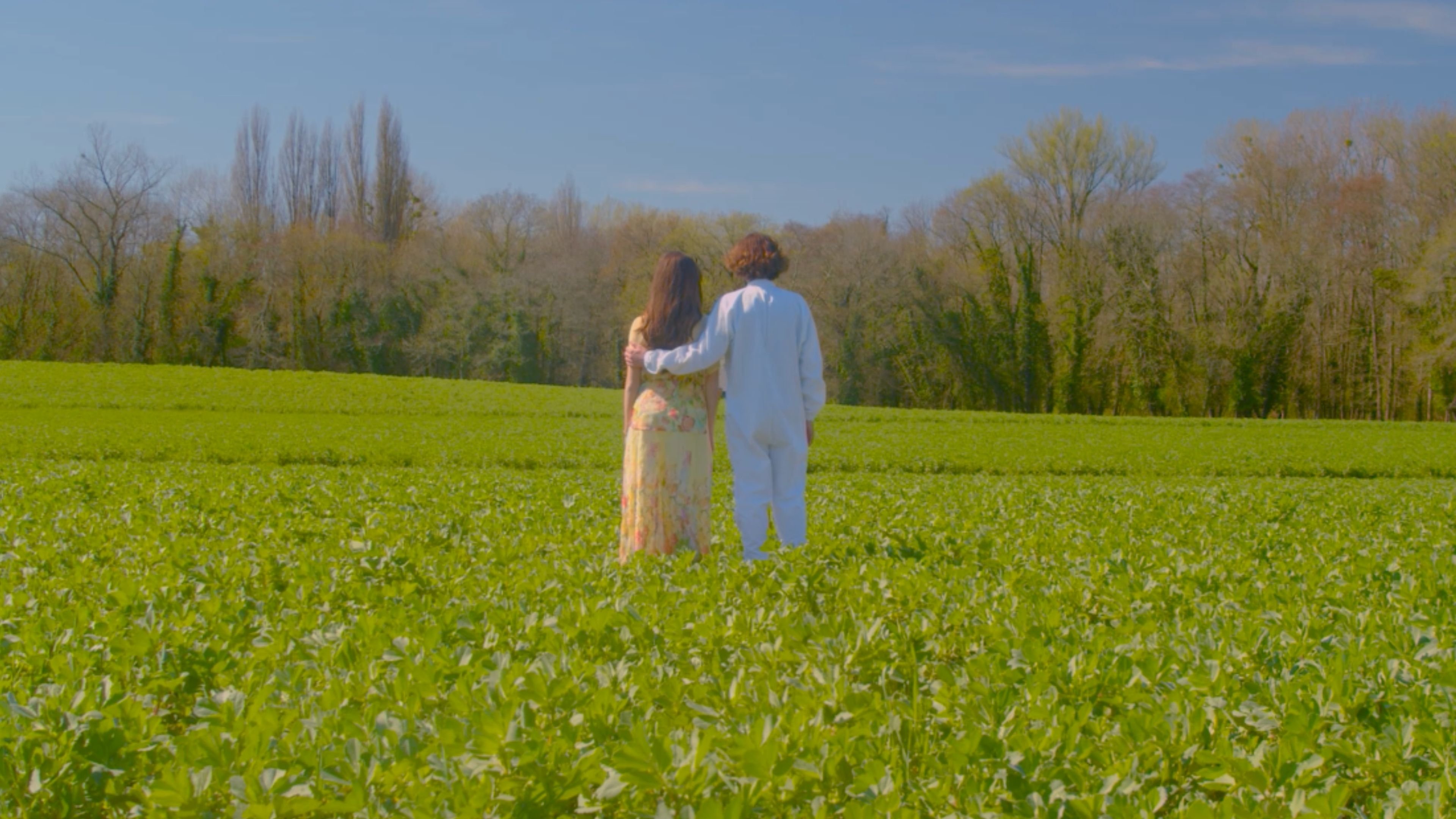 Backdrop for Evasion