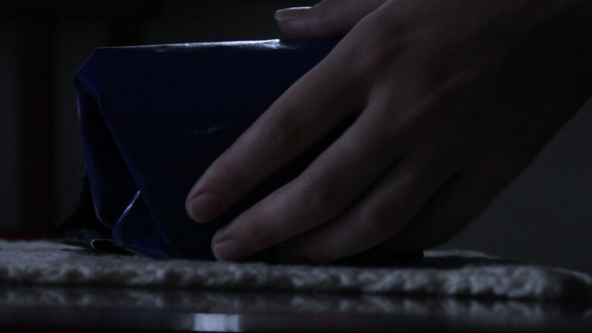 Backdrop for Pandora