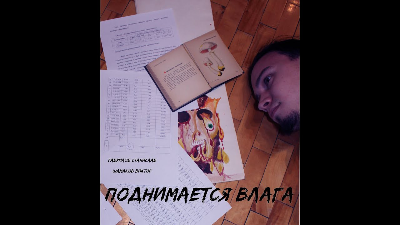 Backdrop for Moisture rises