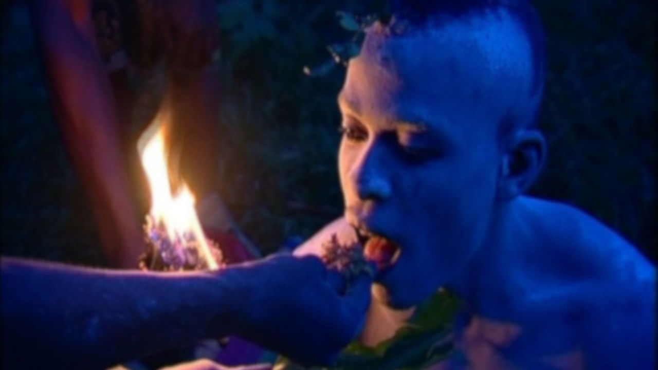 Backdrop for L'Iboga: Les Hommes du bois sacré