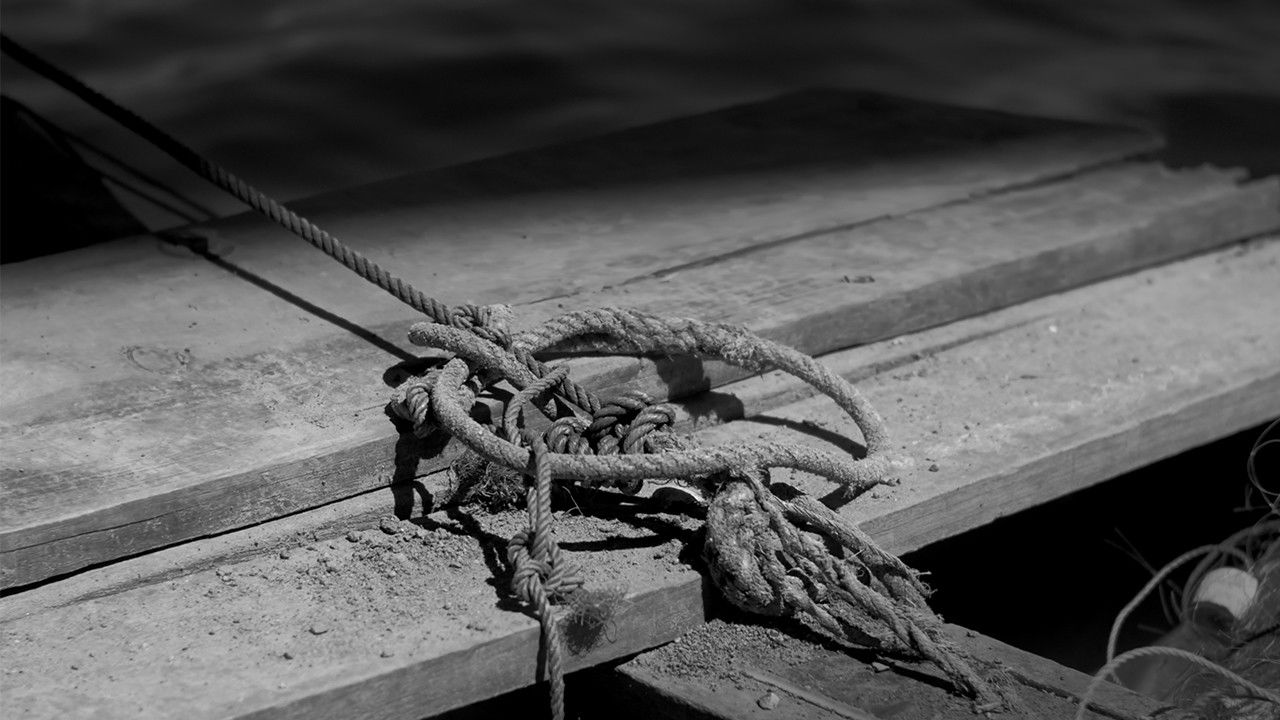 Backdrop for Facticity