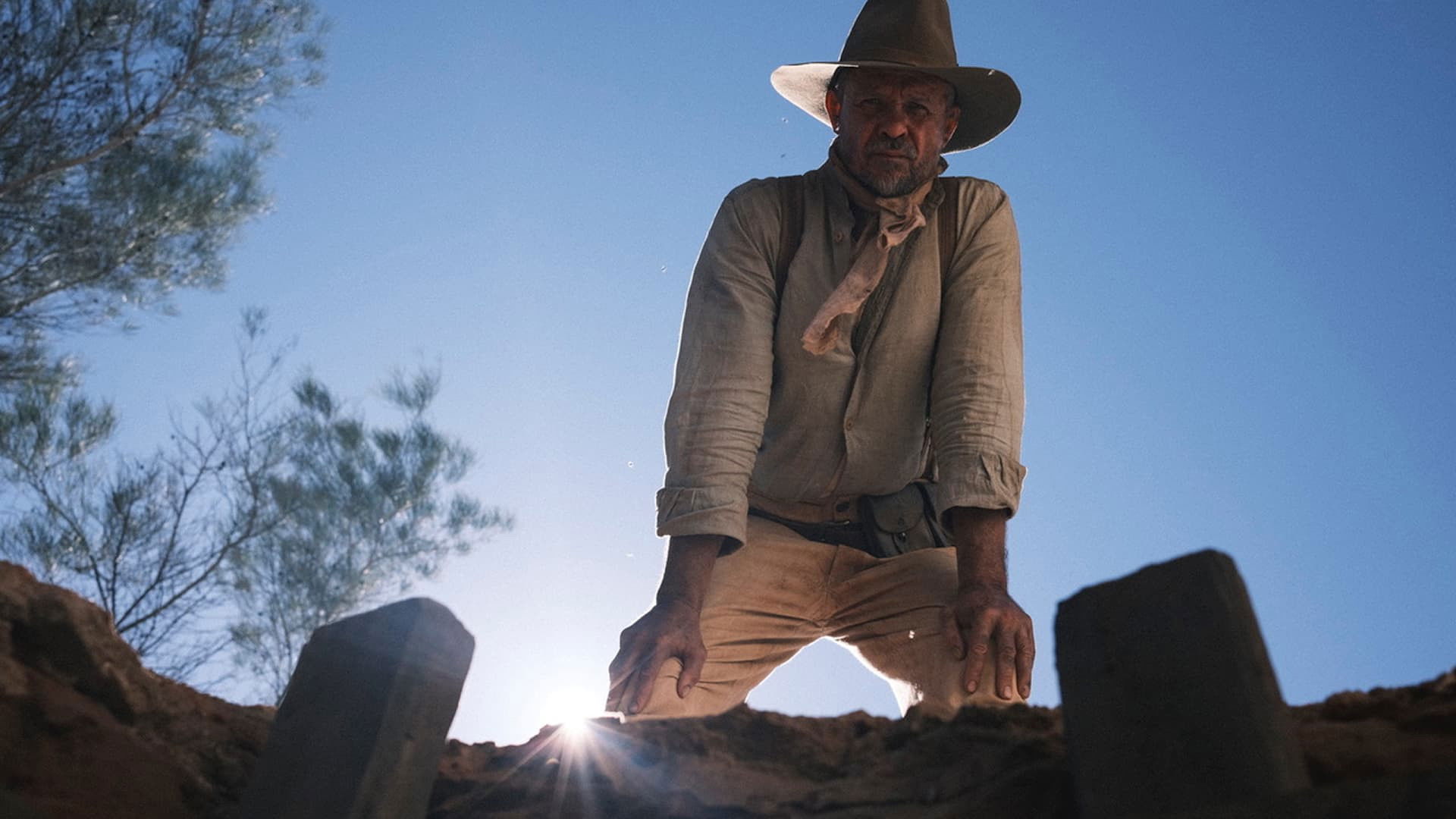 Backdrop for Wolfram