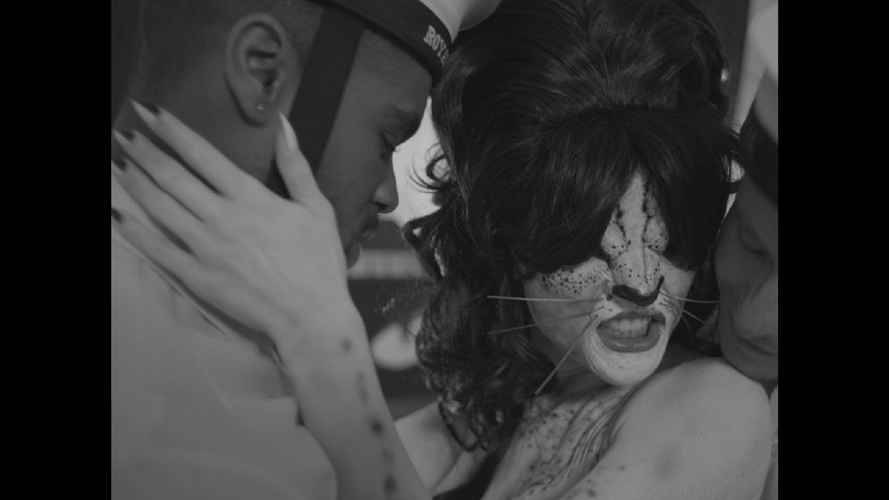 Backdrop for Jazzberry