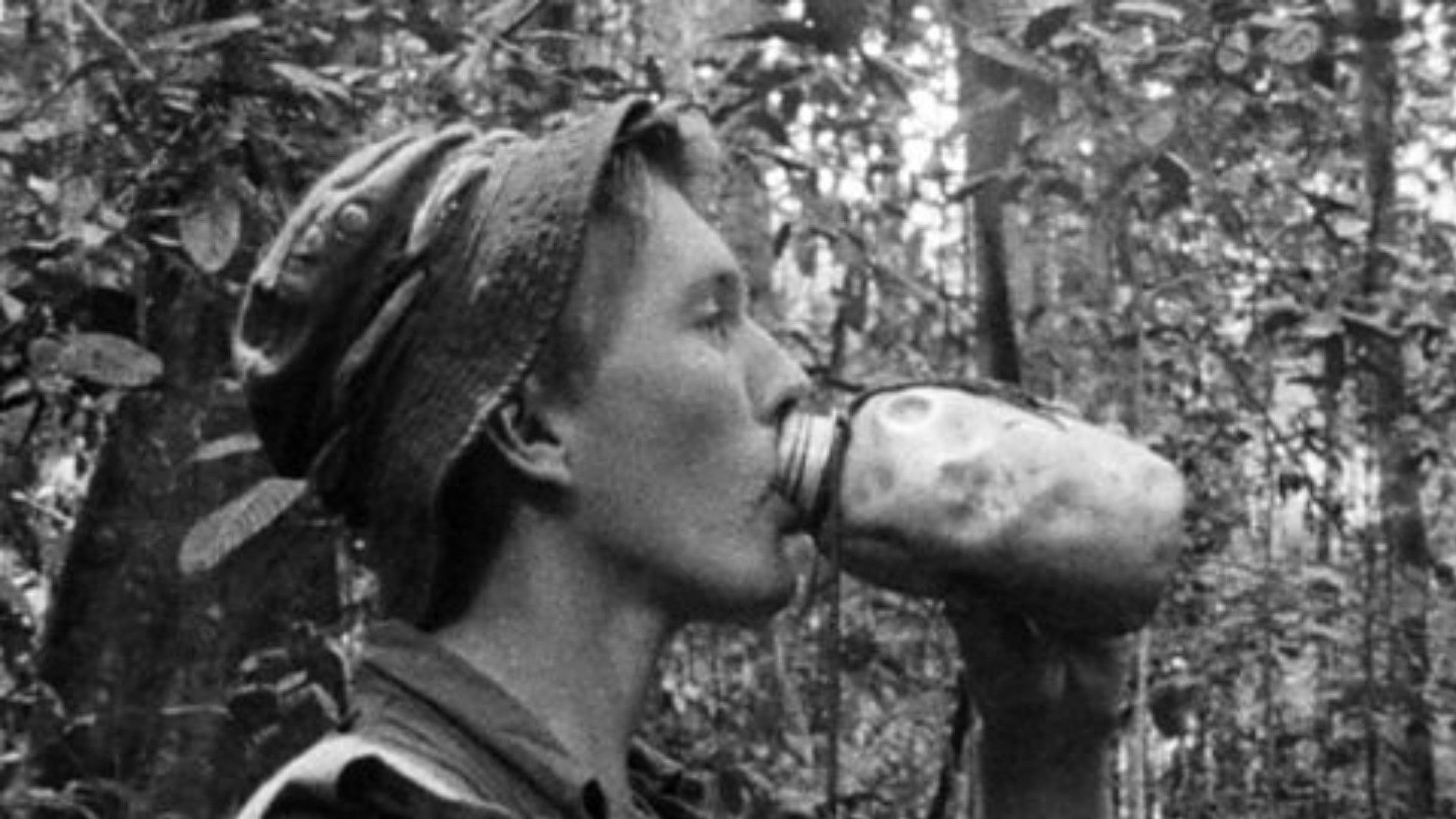 Backdrop for Jungle Green: Borneo