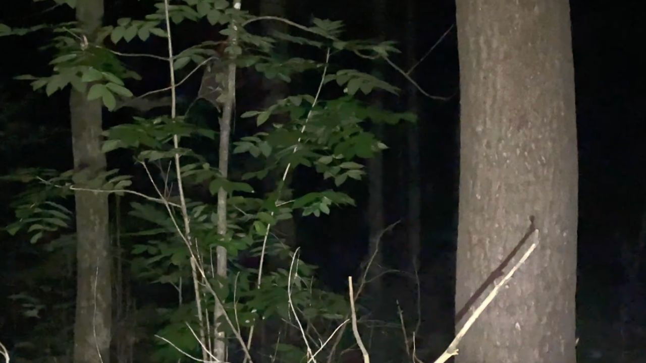 Backdrop for vingt deux heures vingt deux.