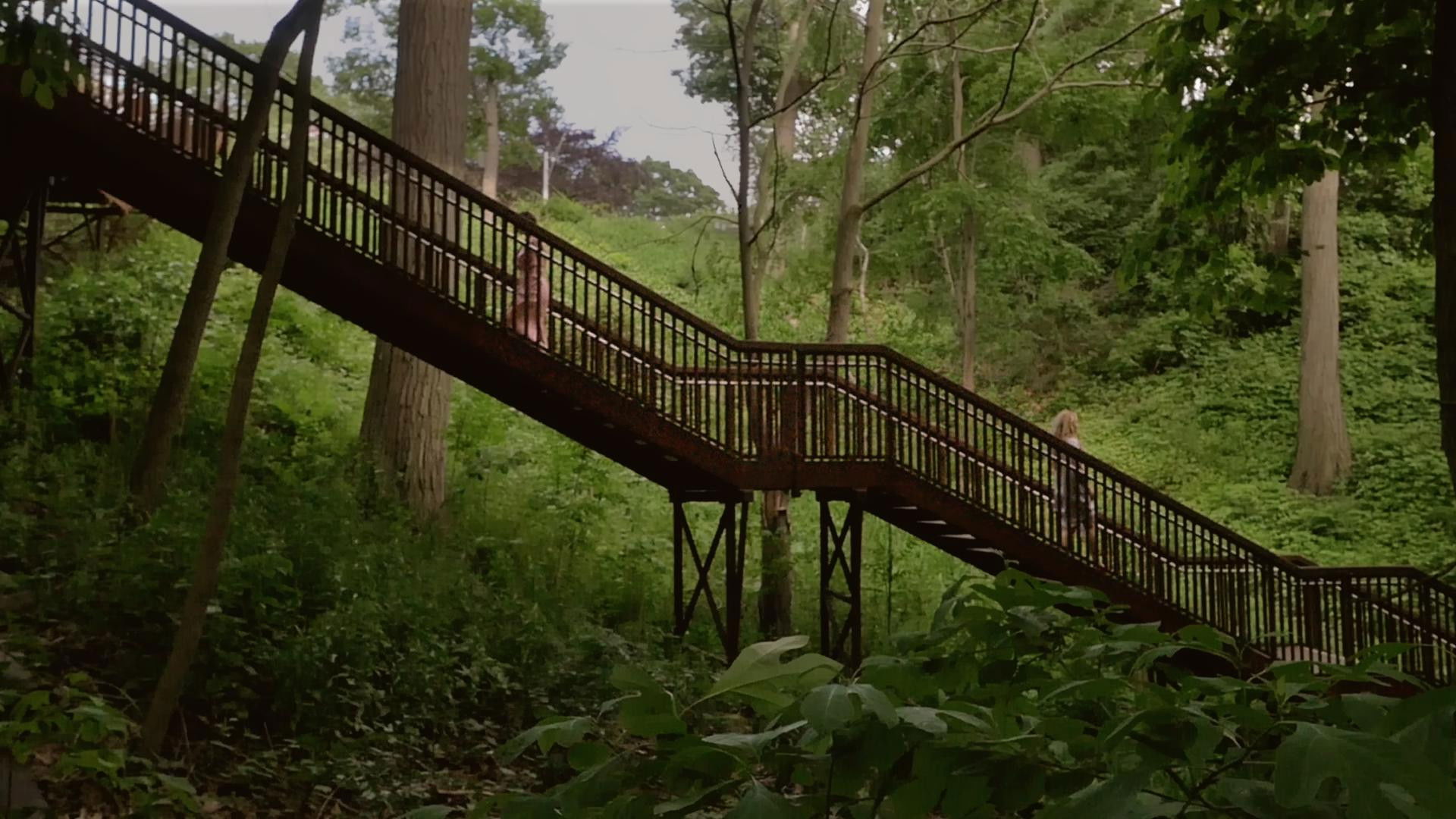 Backdrop for She Decided Not to Remember