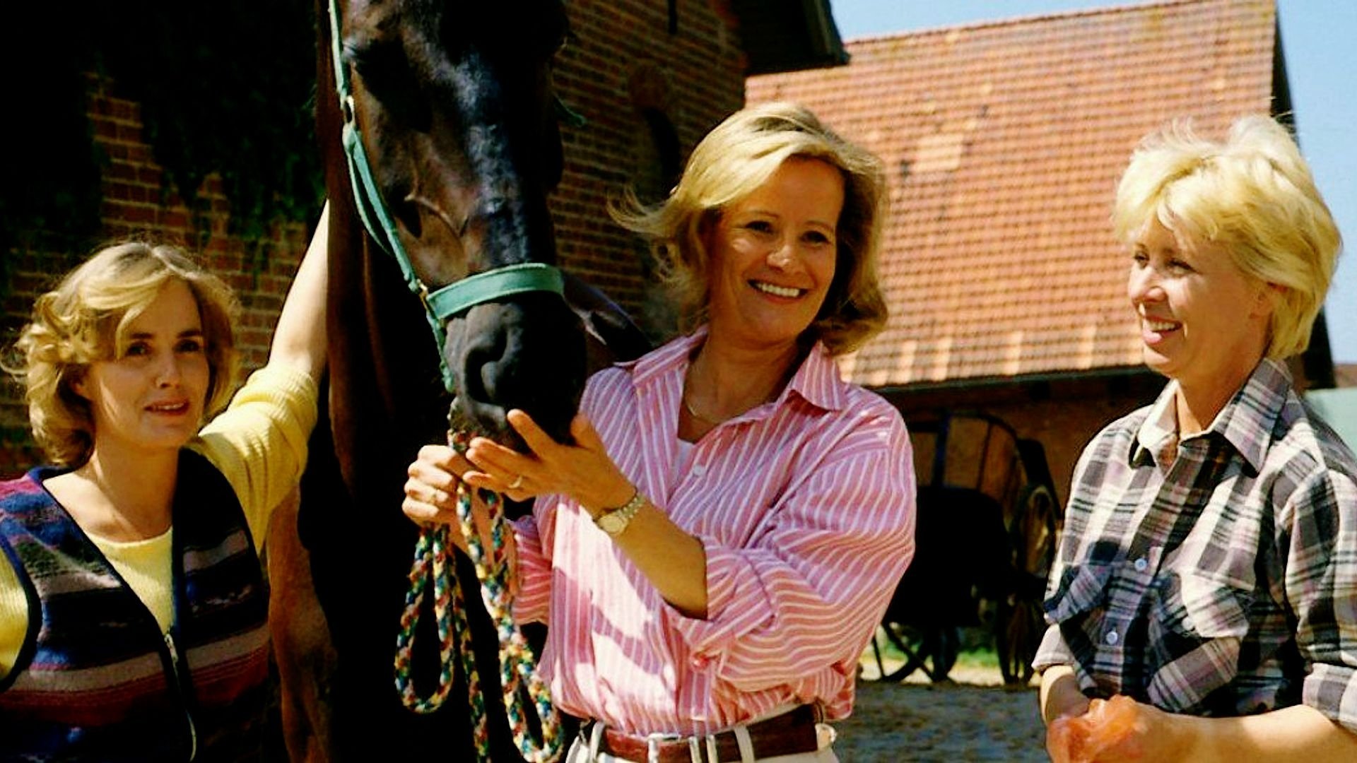 Backdrop for Immenhof