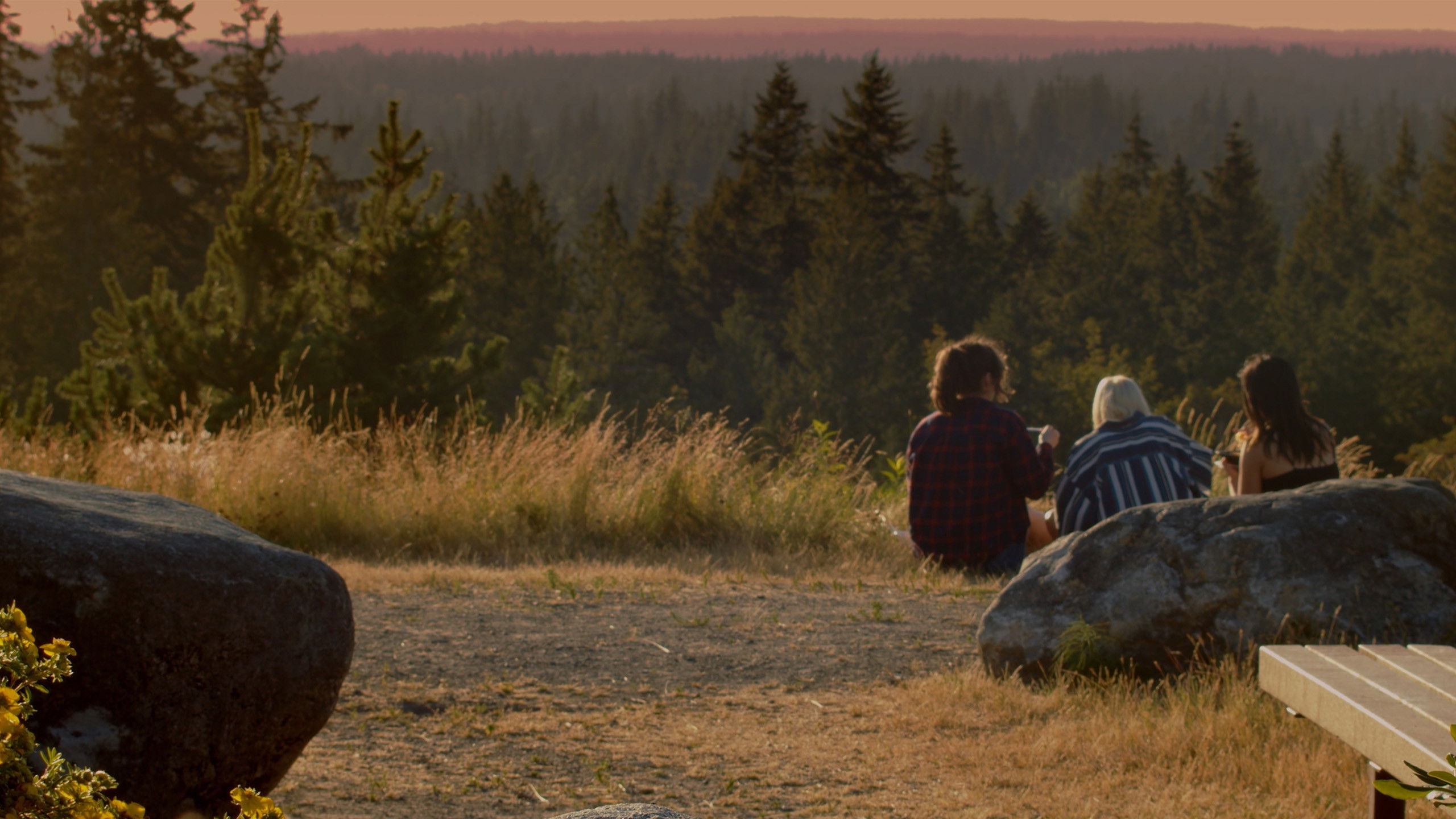 Backdrop for In the Summer Rain
