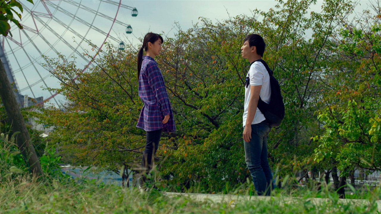 Backdrop for The Goose Goes South