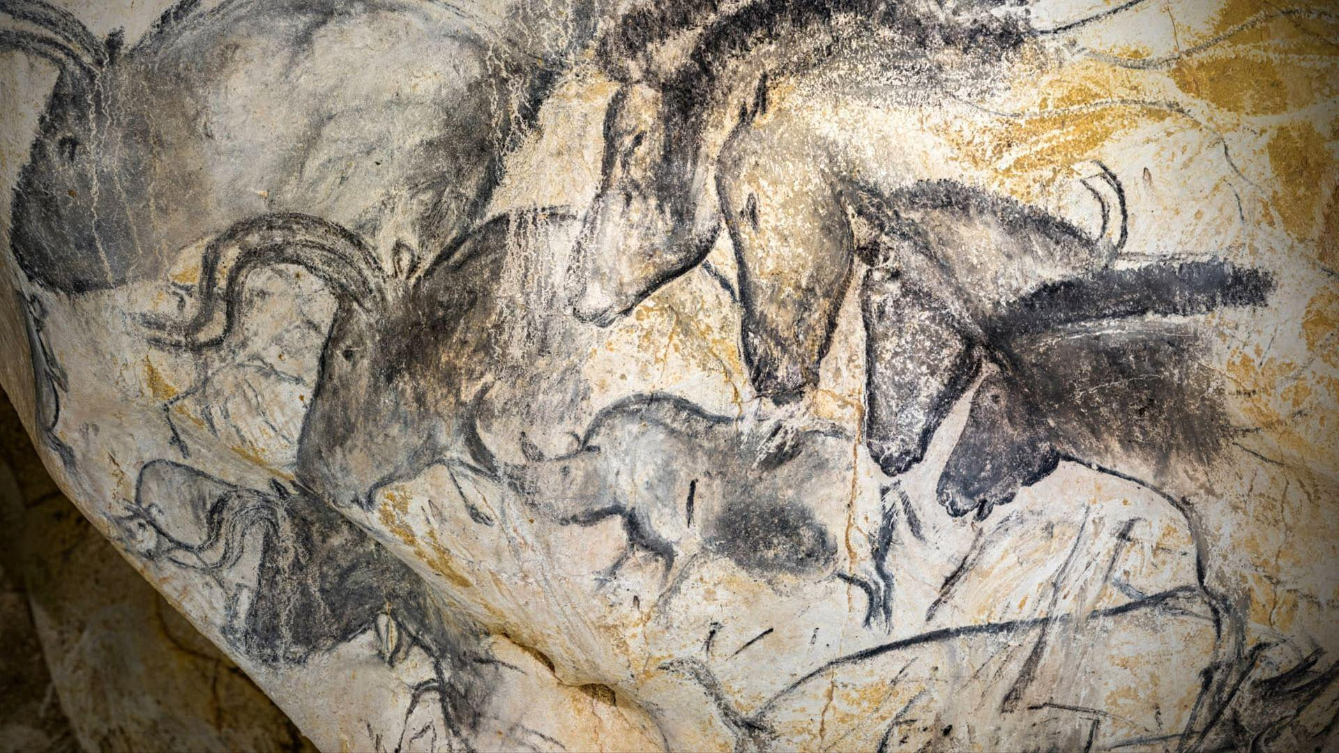 Backdrop for Grotte Chauvet - Dans les pas des artistes de la Préhistoire