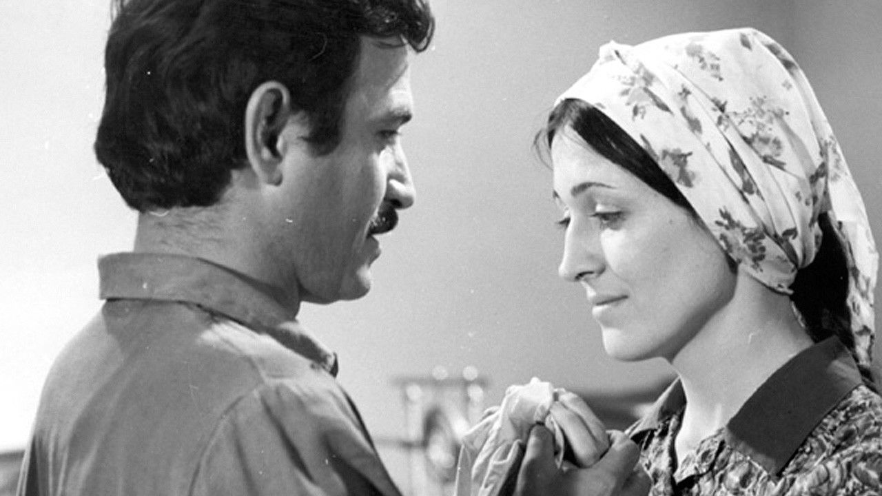 Backdrop for The Bay of Happiness