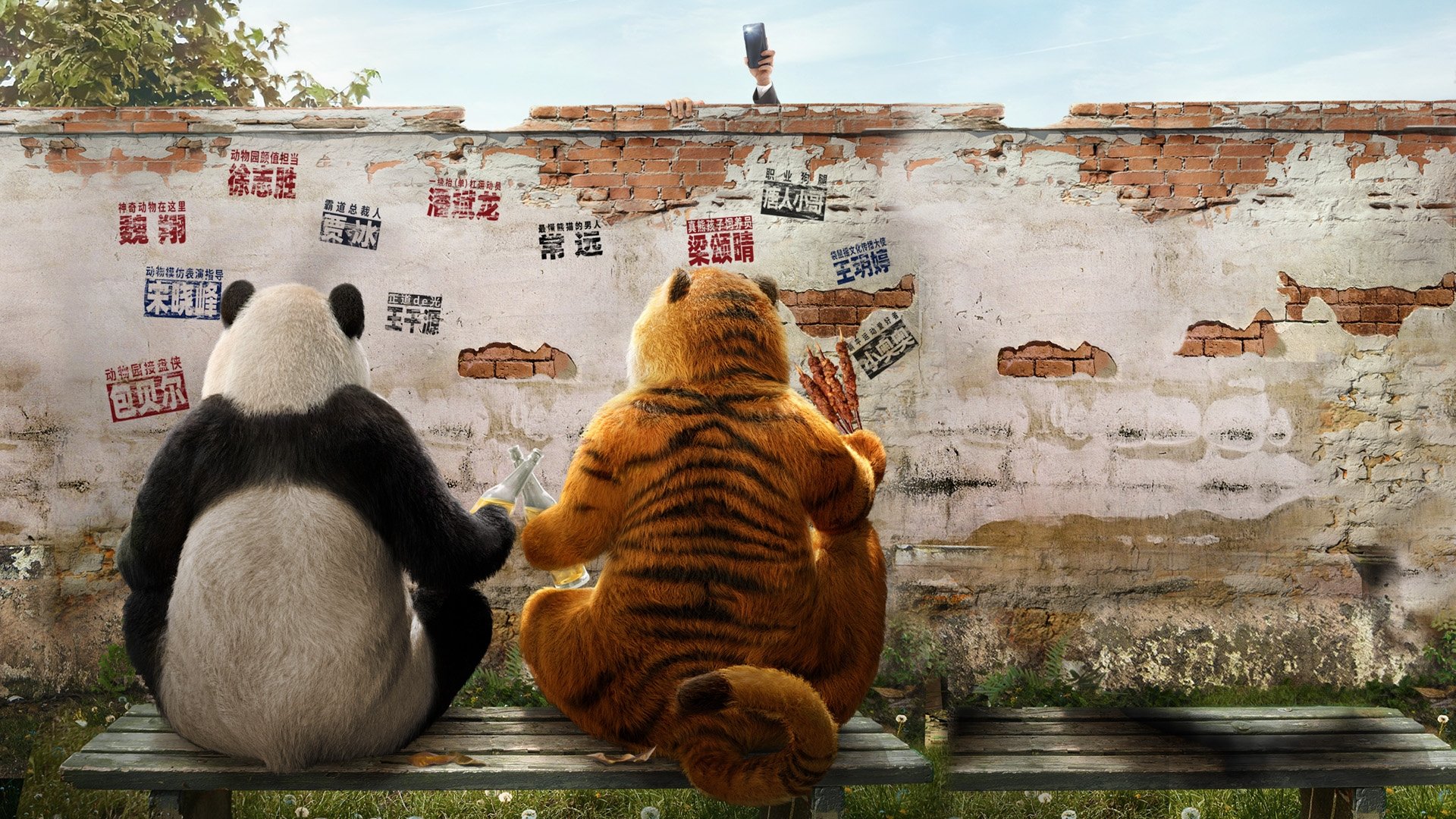 Backdrop for Follow Bear to Adventure