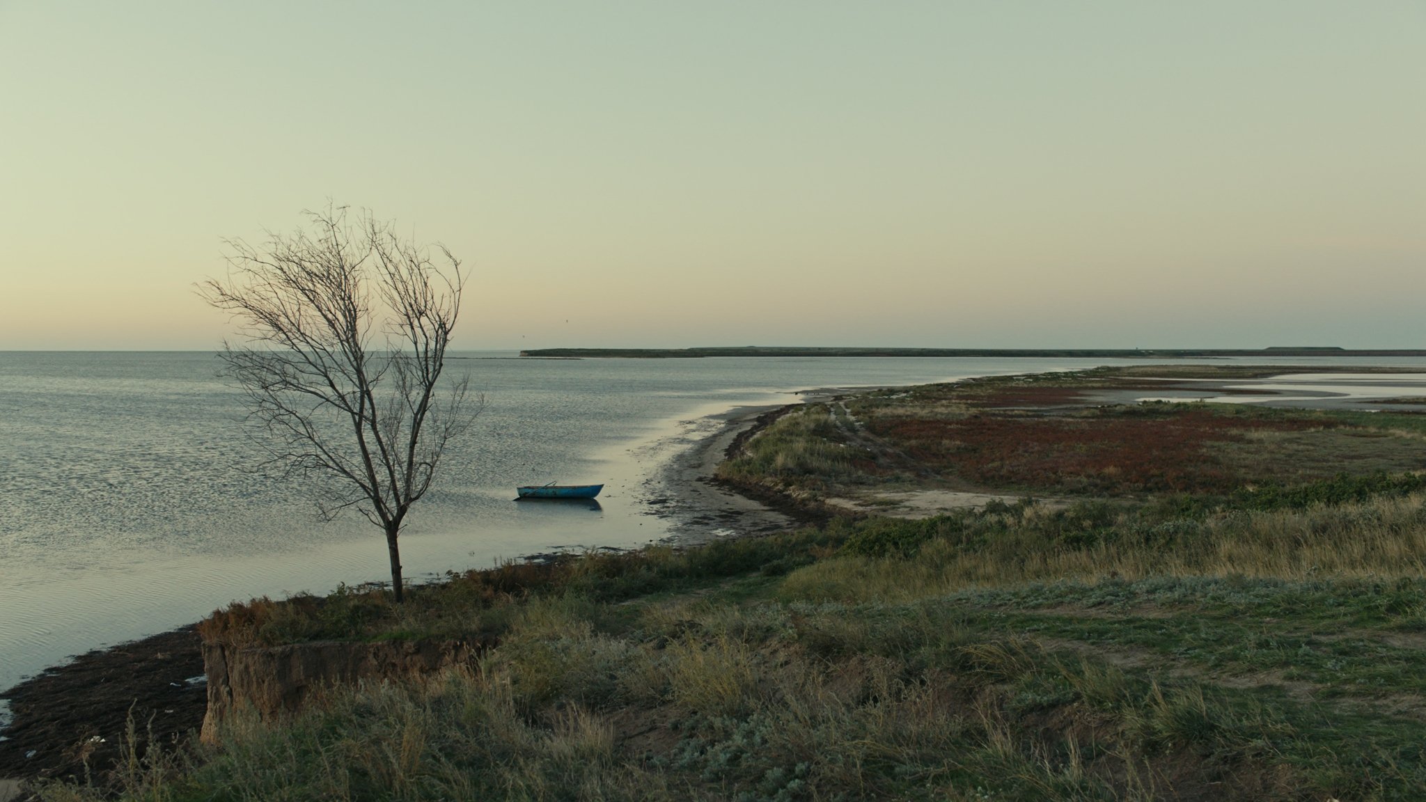 Backdrop for Homeward