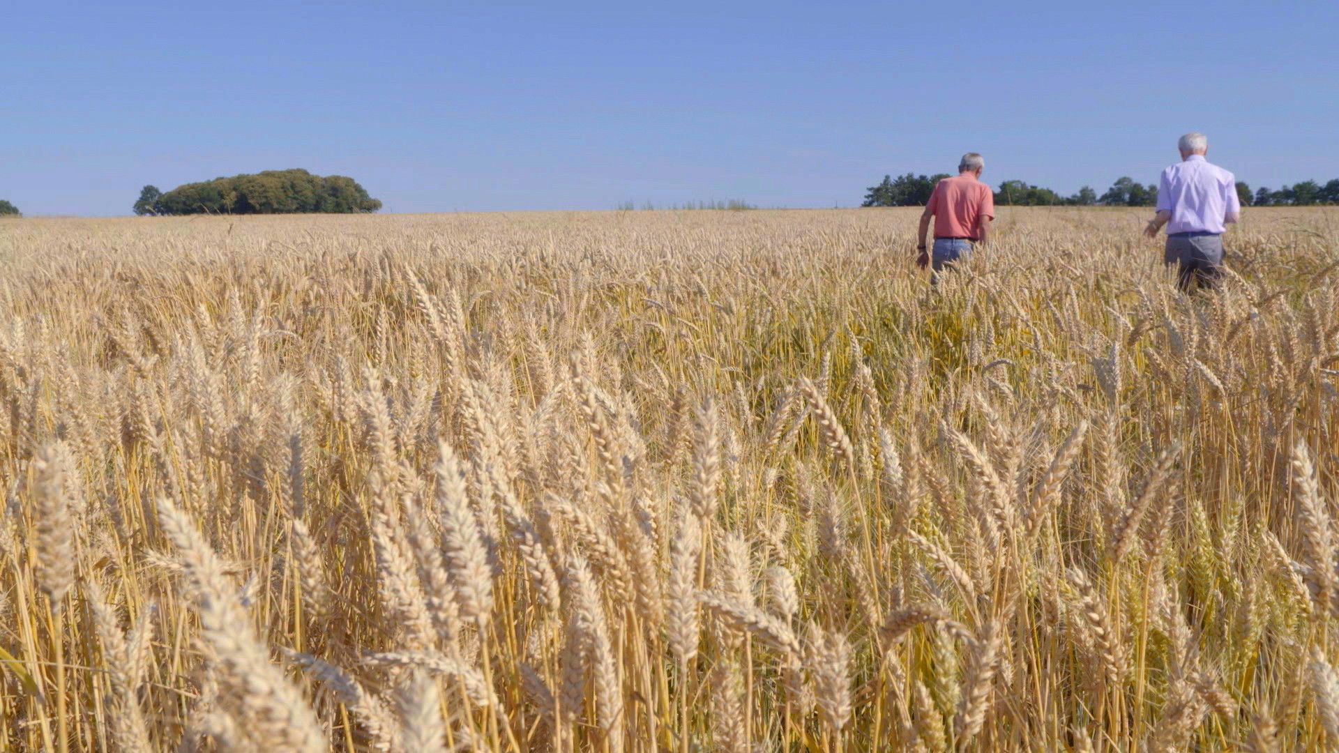 Backdrop for Jean Jouzel dans la bataille du siècle