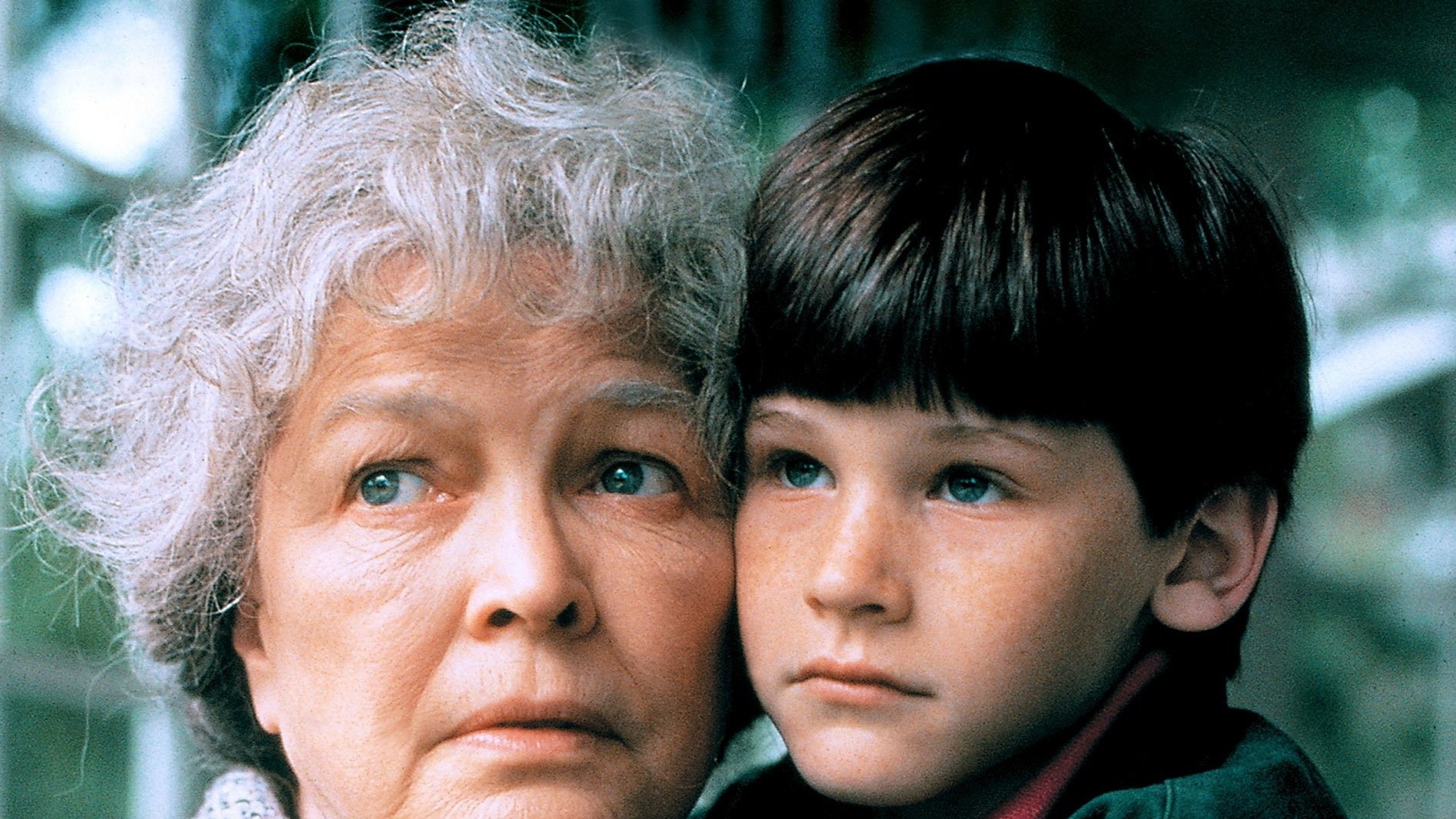 Backdrop for Mrs. Lambert Remembers Love