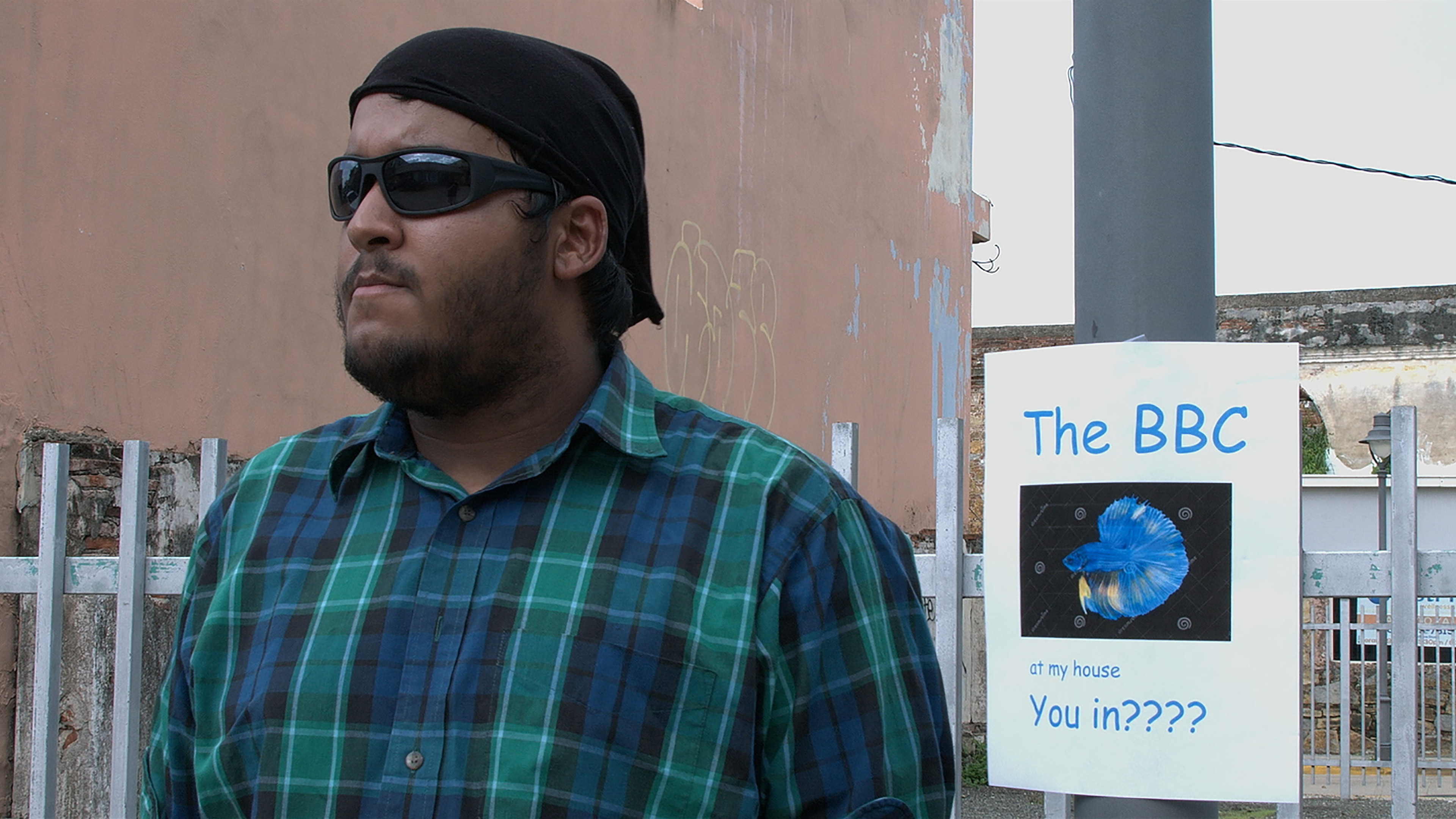 Backdrop for The Betta Brawling Championship