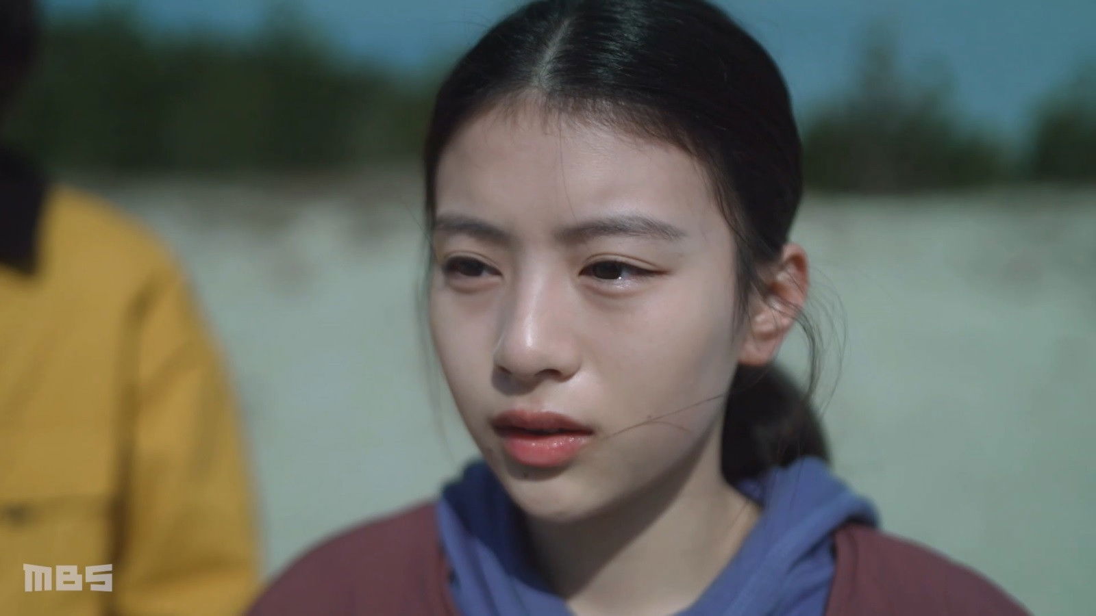 Backdrop for Inversion