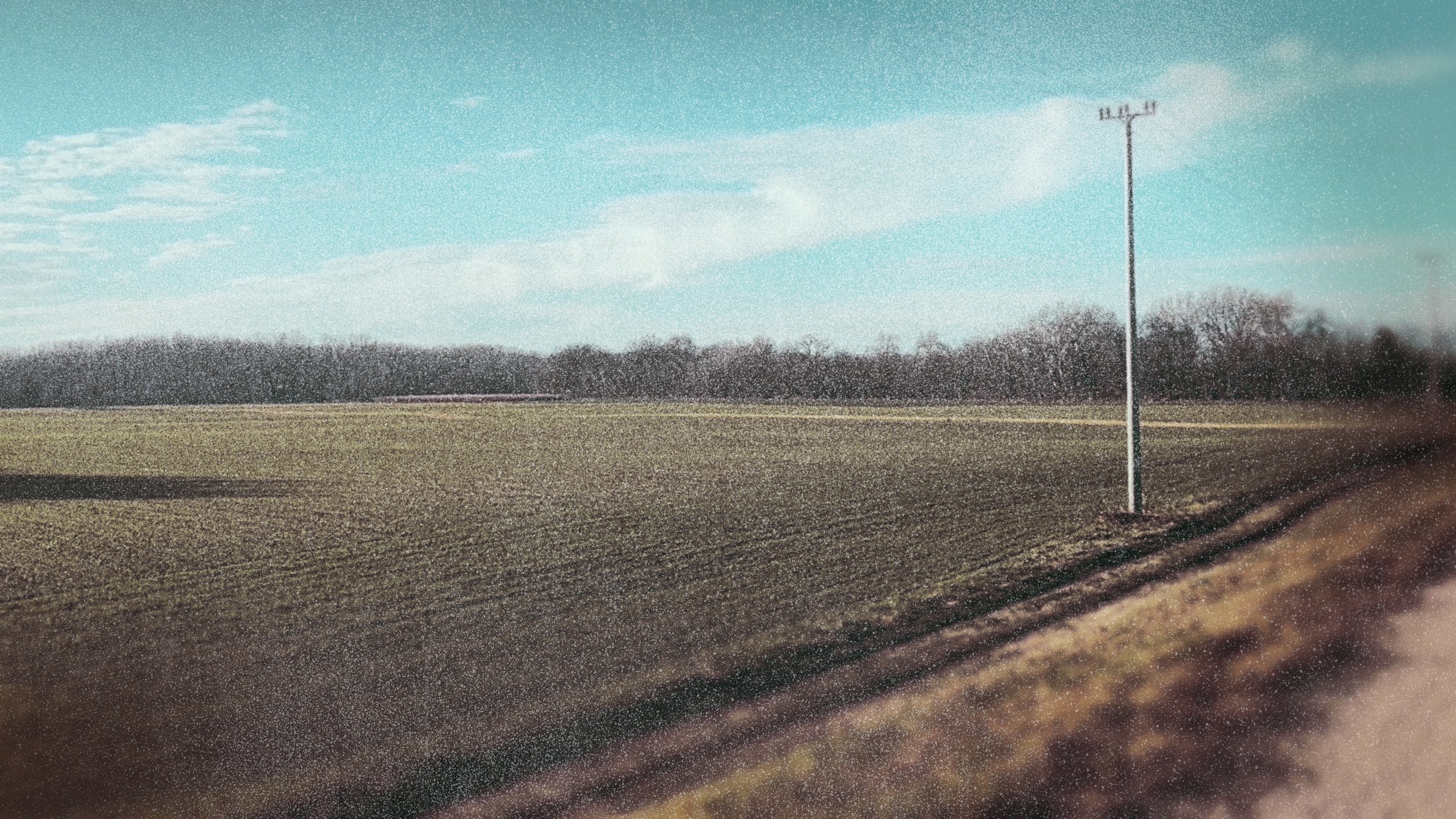 Backdrop for Horsehead