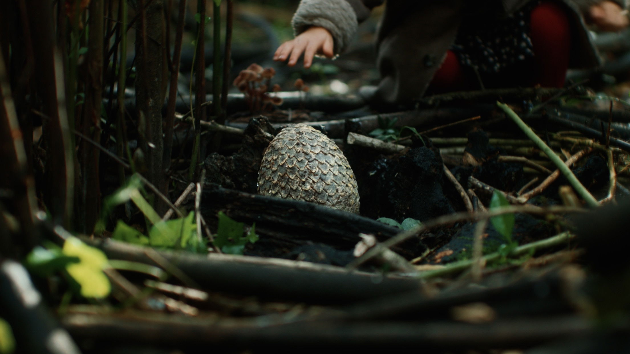 Backdrop for L'Attaque