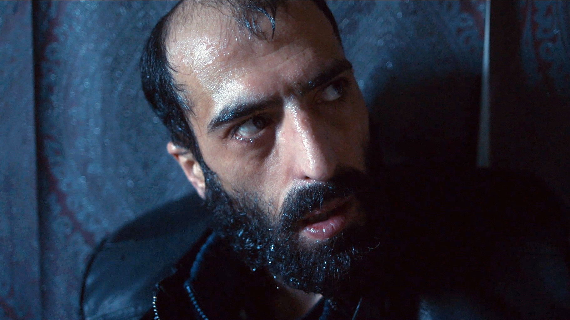 Backdrop for Vinland