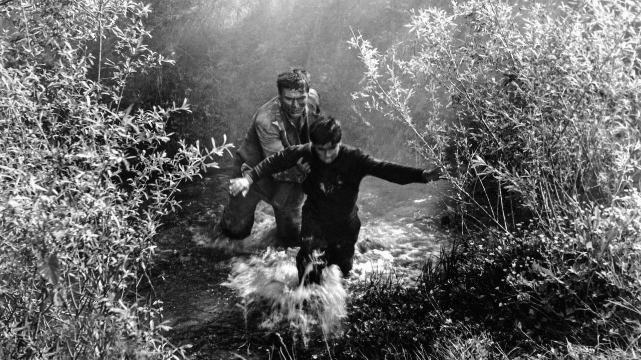 Backdrop for Don't Look Back, My Son