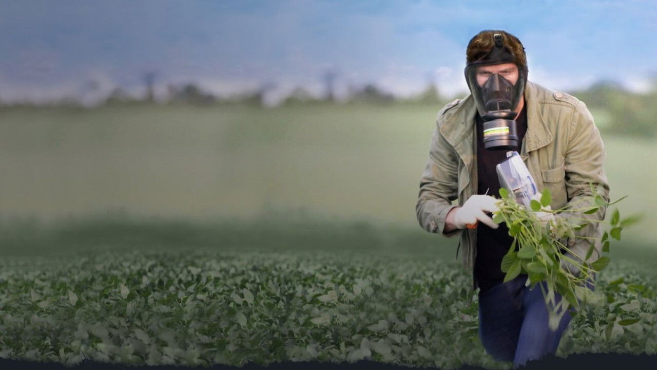 Backdrop for Green Warriors